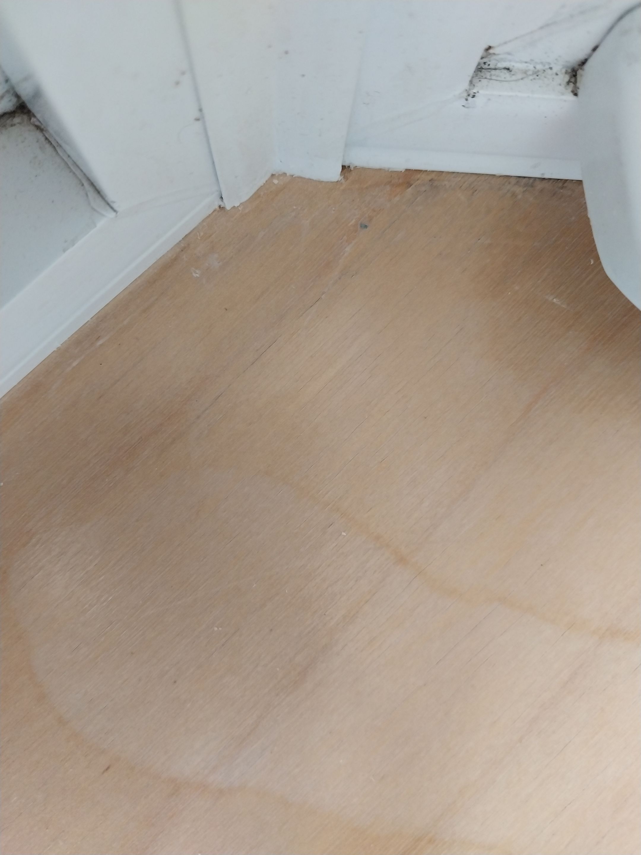 Window Repair using Sherwin Williams Emerald  by Laser Focused Solutions LLC