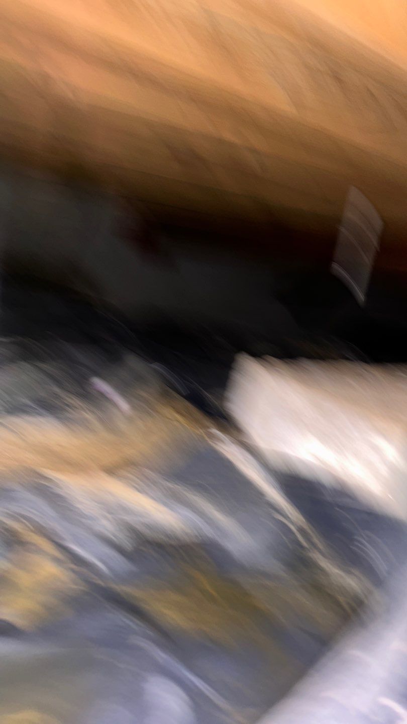 Mold Damage by Accountable Home Services