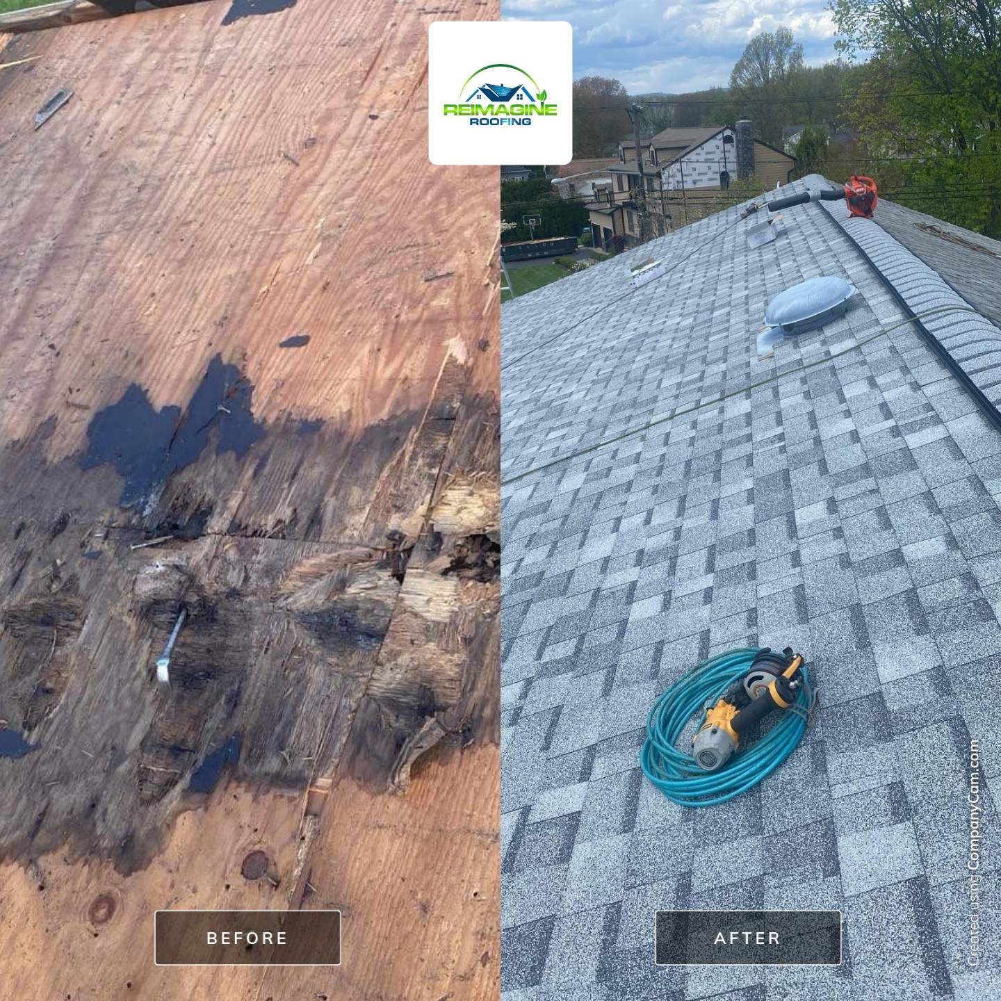 Silver Birch Shingles by Reimagine Roofing