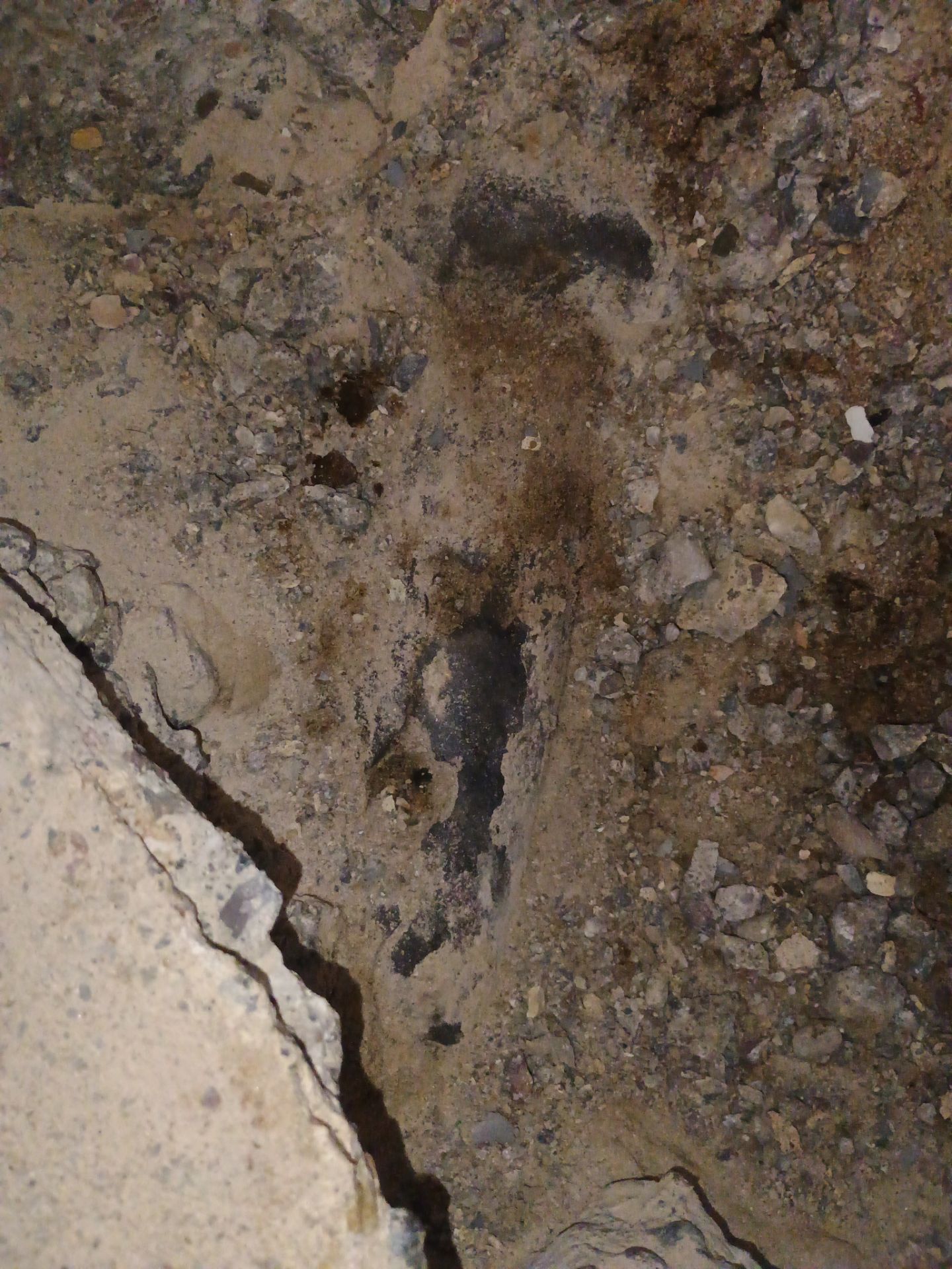 Basement Waterproofing for Kristi & Danny in St. Paul by Waterproofing Northeast