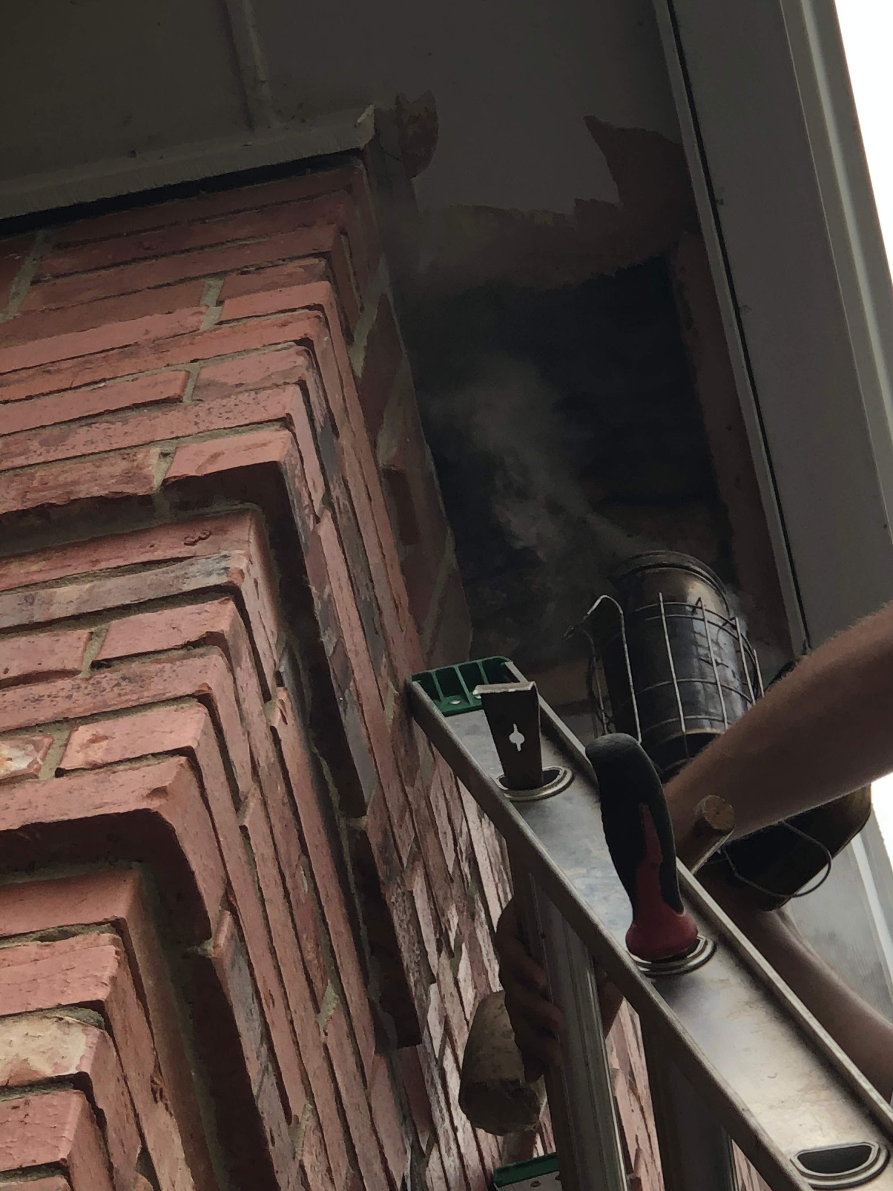 Caution! by Rockwall Honey Bee Company