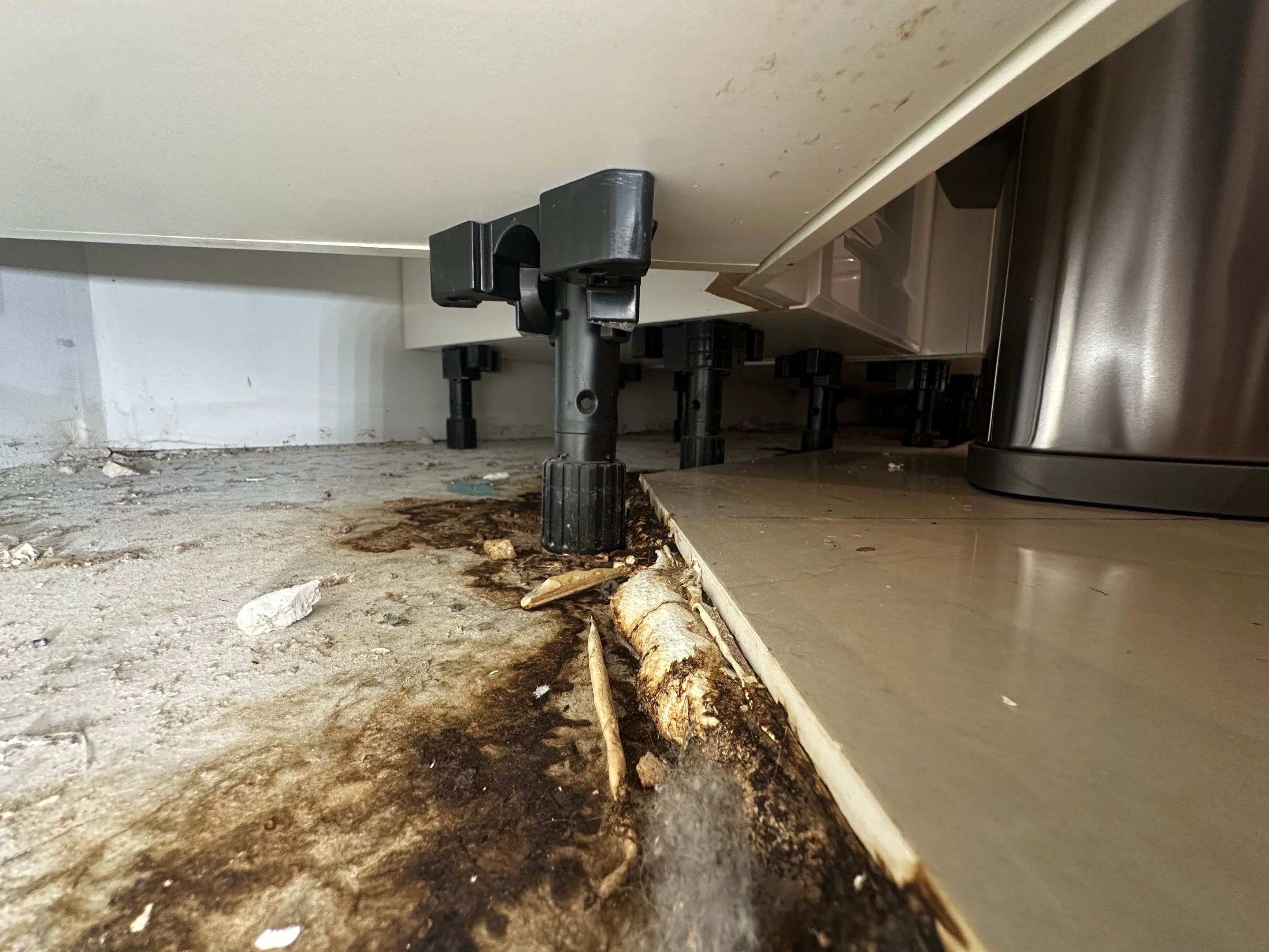 Water Damage Claim in aventura by FLAPA & KeyStone