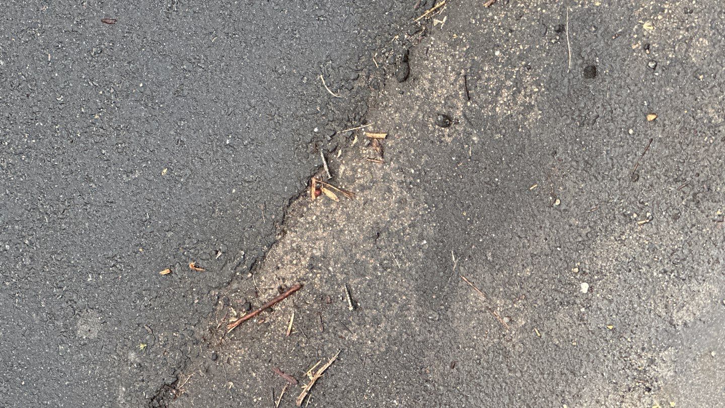 West Springfield: Major Tree Damage Restoration by RM Banning, Inc.