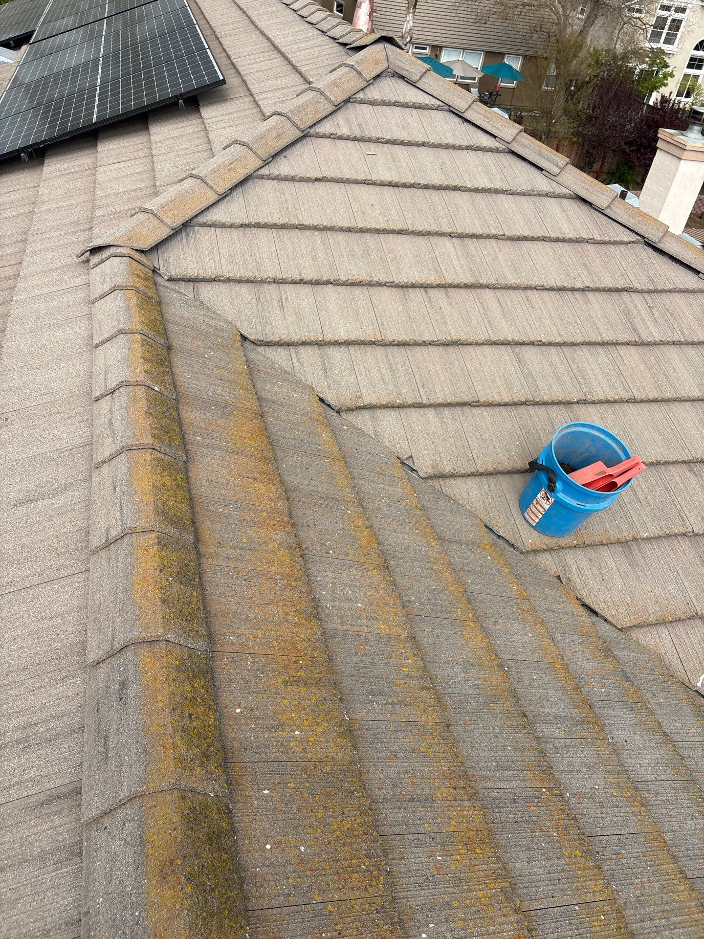 Moss Removal by Top Elevation