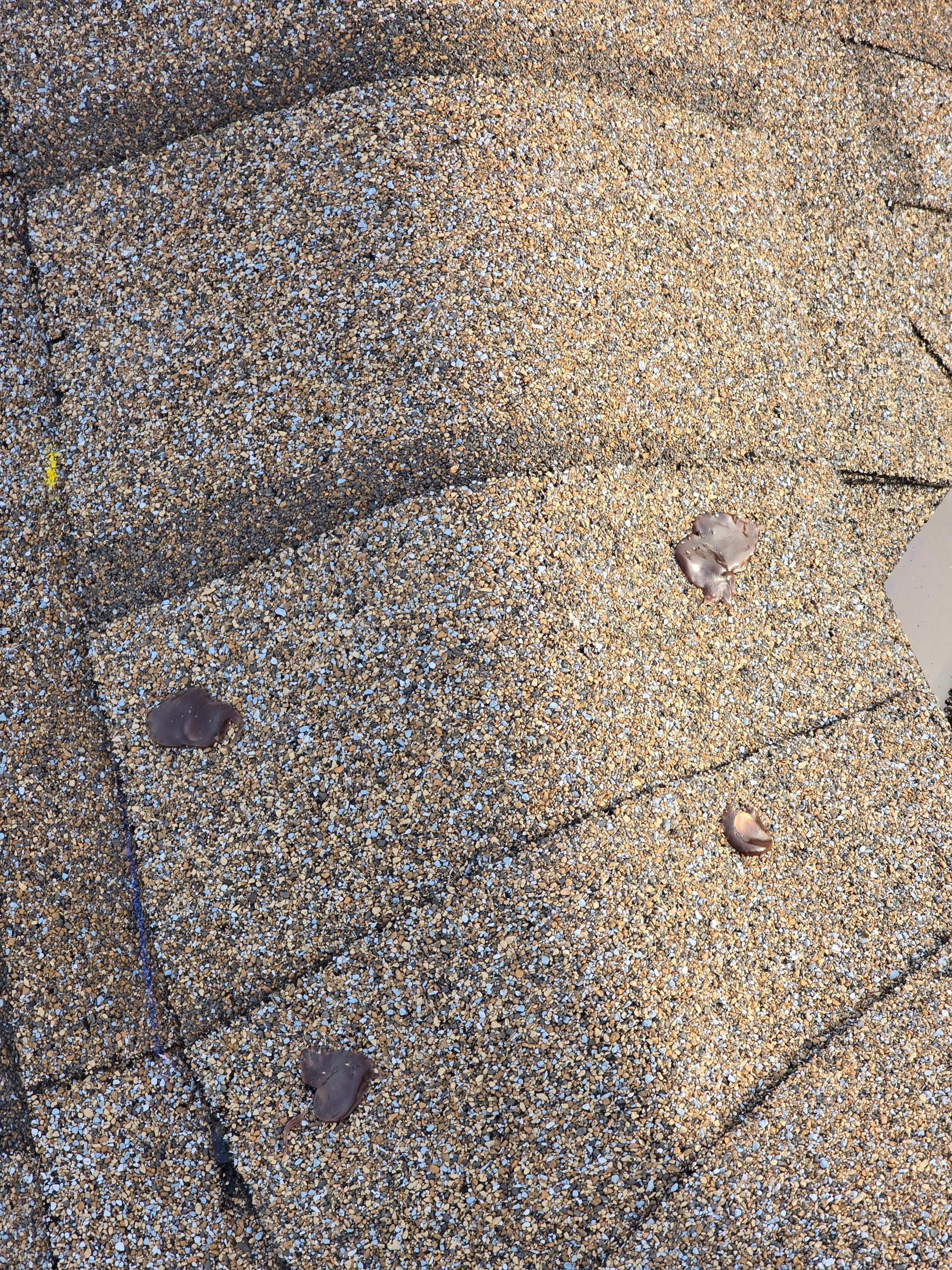 Project in Saint Joseph by CoMitted 365 Roofing & Exteriors 