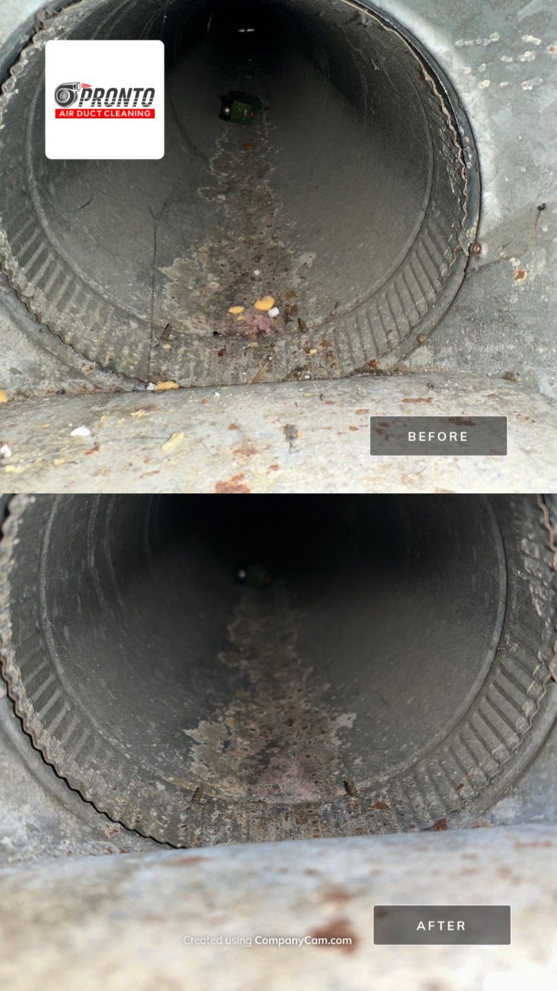 Air Duct Cleaning w/Duct Sanitizing by Pronto Air Duct Cleaning