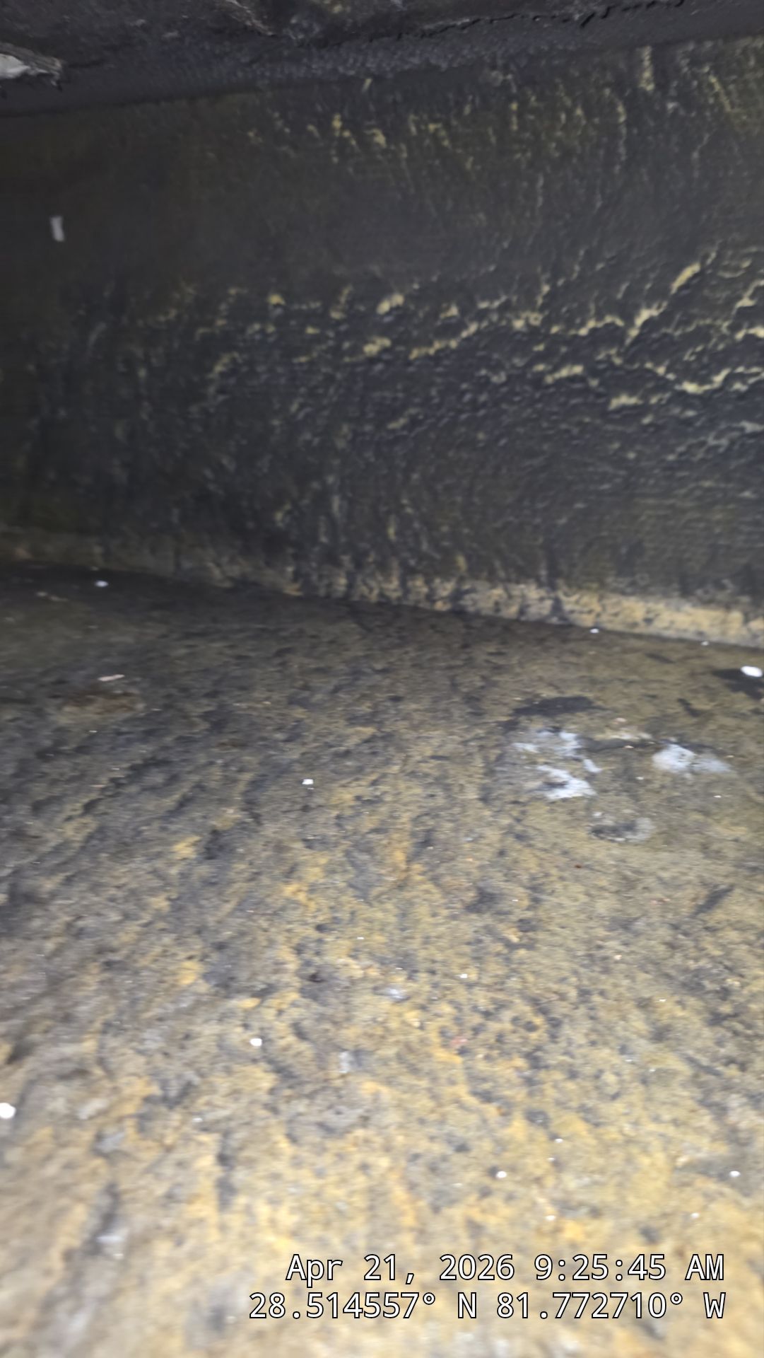 AIr Duct Cleaning in Clermont by Hygienic Air, Inc