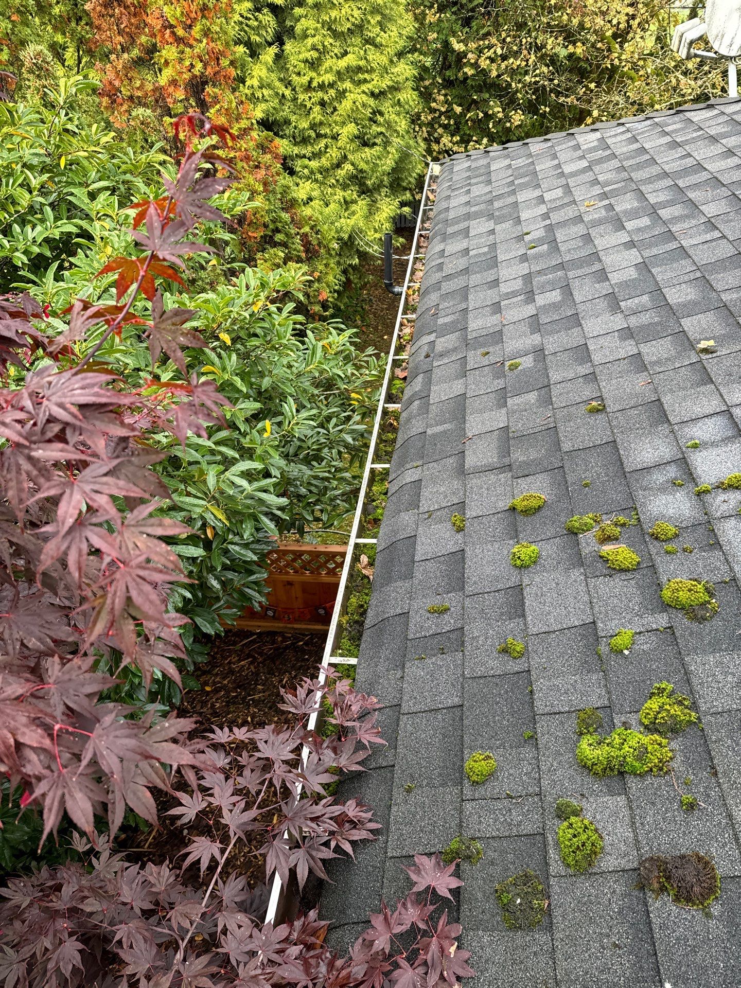 Gutter Cleaning- Taylor Way by YVR Construction Group