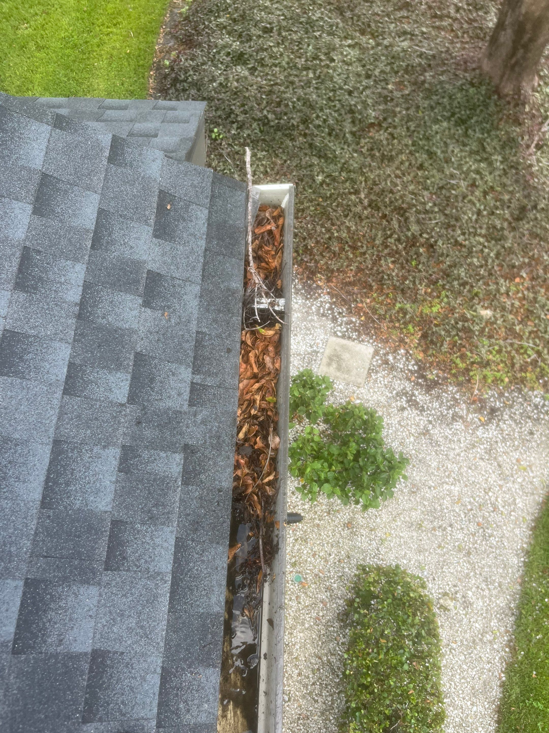 Professional Gutter Cleaning in Fort Myers FL by Gutter Professors