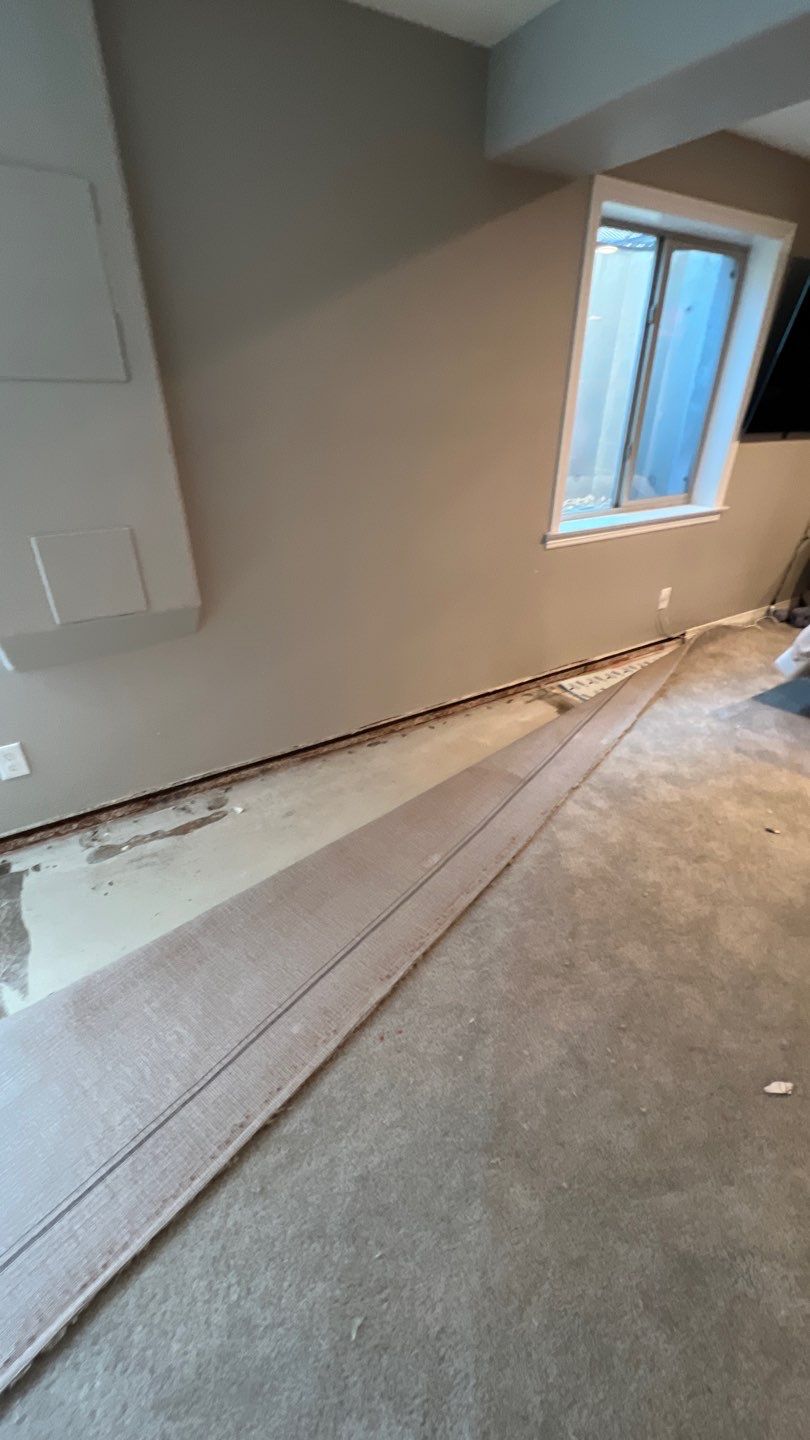 Mold Remediation  by Accountable Home Services