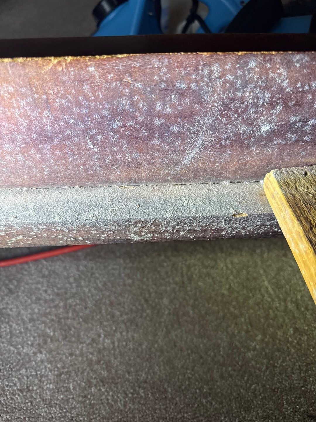 Mold Remediation & Moisture Source Discovery, Middletown, De. by Healthy Home Solutions