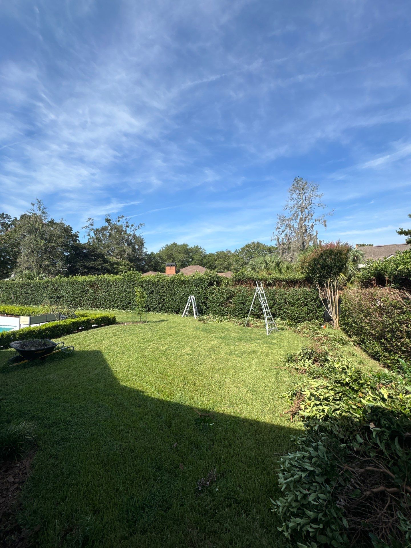 Deerwood Resident | Shrub Trimming by ProGreen Services