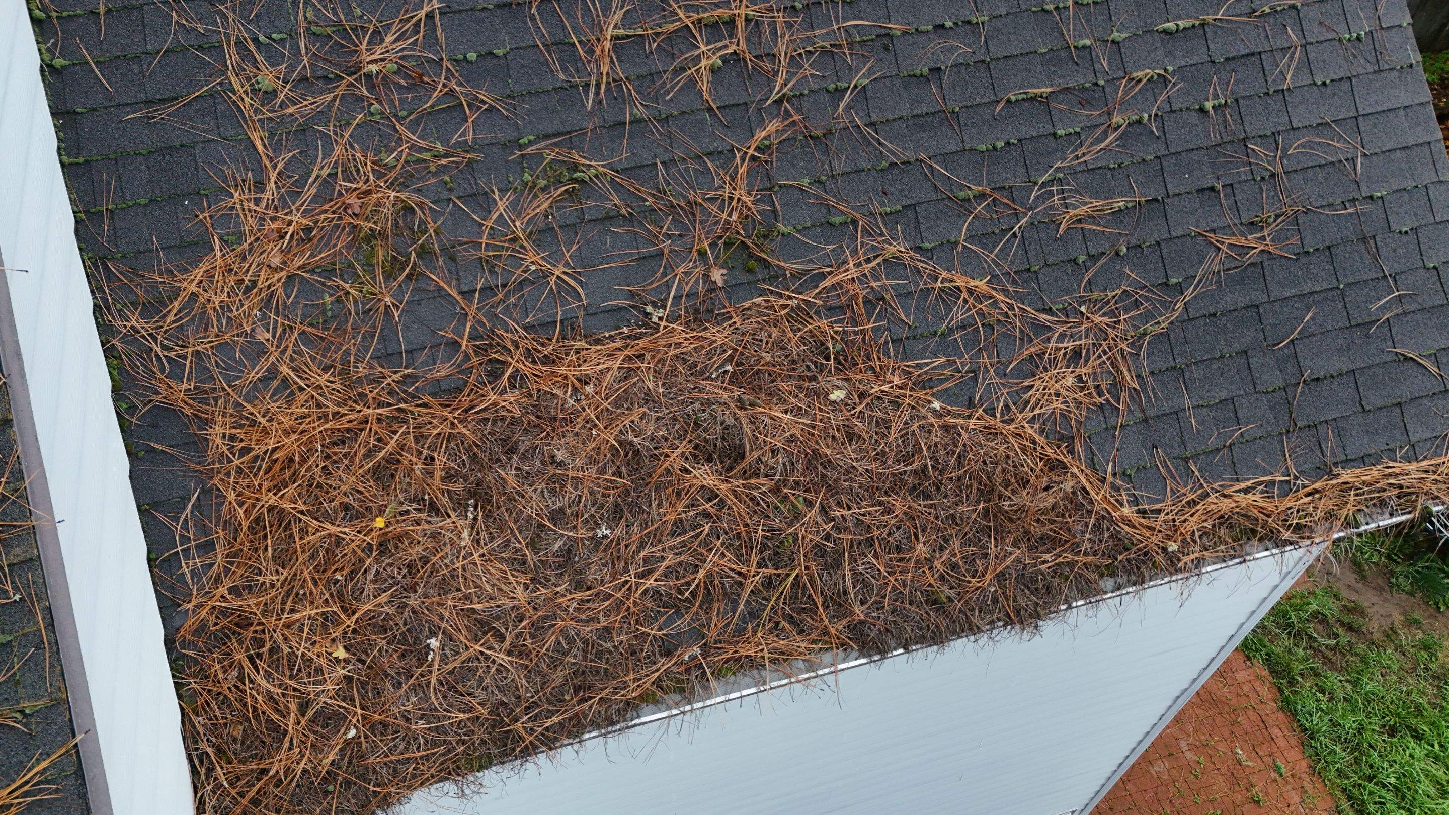 Severe Roof Maintenance in Beaverton by Prodigy Roof Solutions