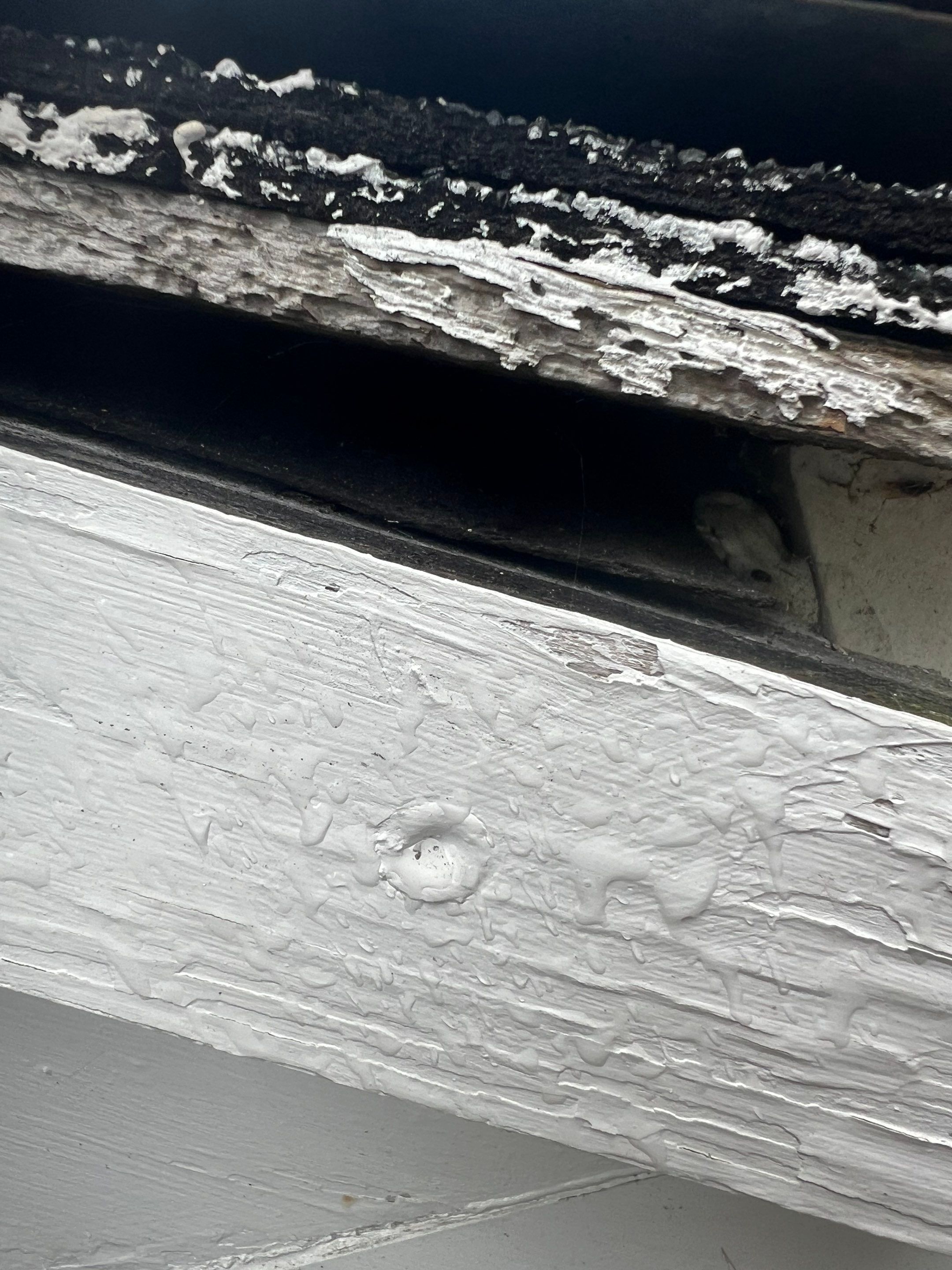 Complete Roof Replacement with Ventilation Upgrade by Mighty Dog Roofing of Greater Middlesex County