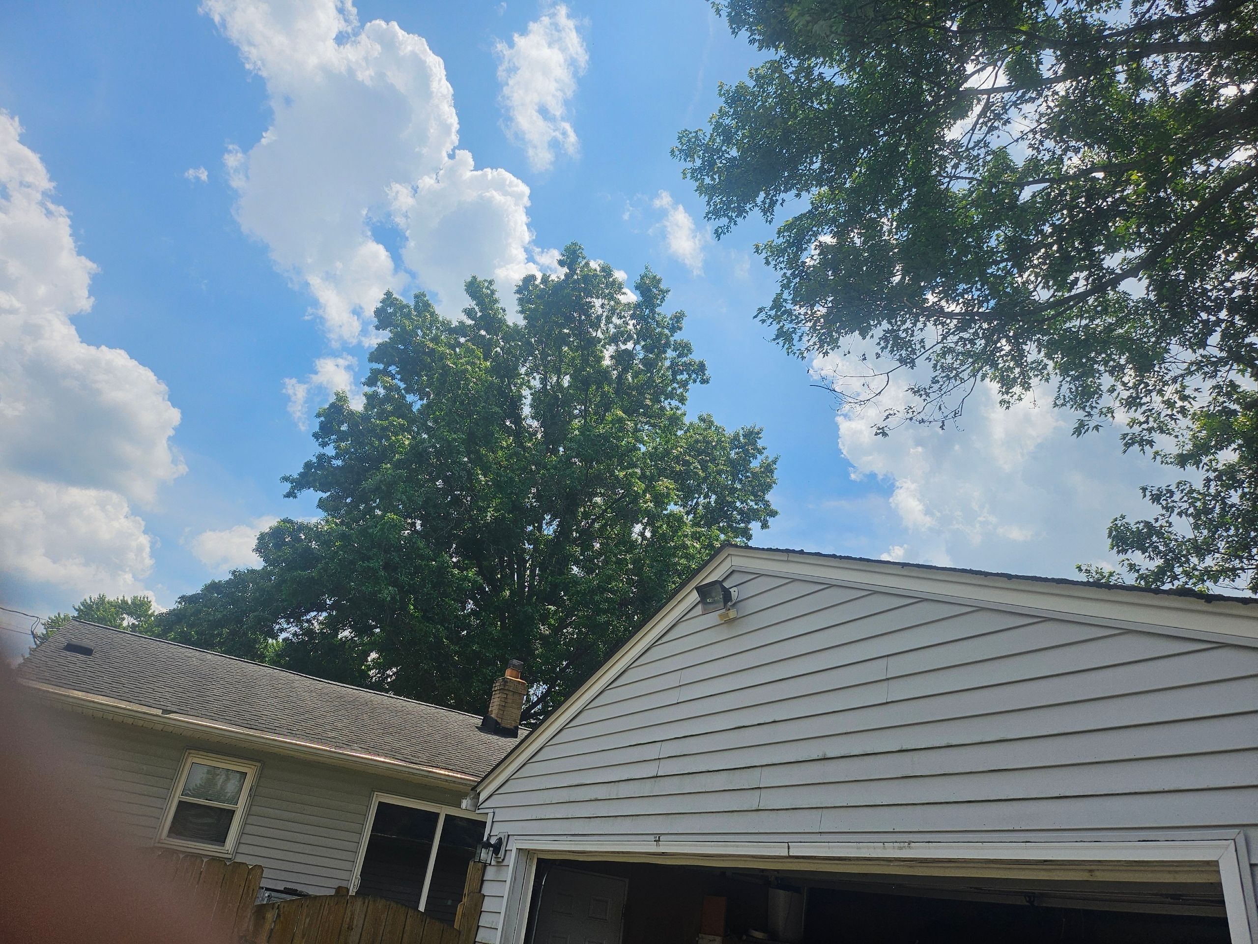 Tree Trimming using Tree Pruing by Mike Jones & Sons Tree Service LLC 