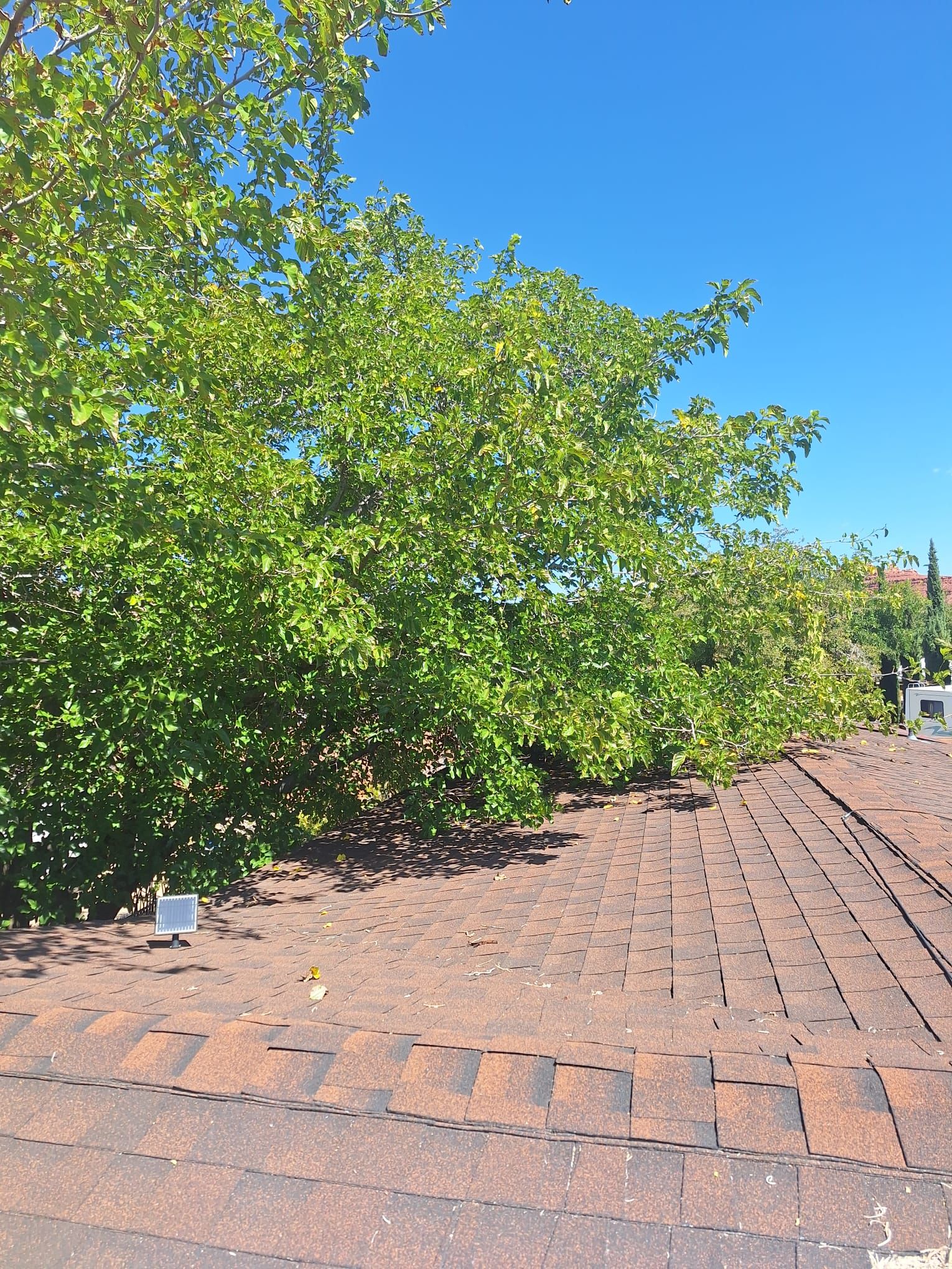 Donald Pendelton by Unified Roofing