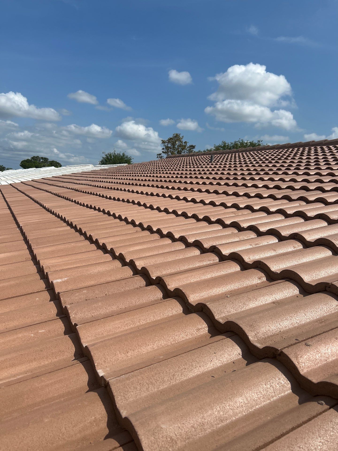 Project in Pinellas Park 33782 by Mitchell Roofing Company LLC 
