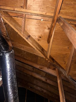 Project in Webster