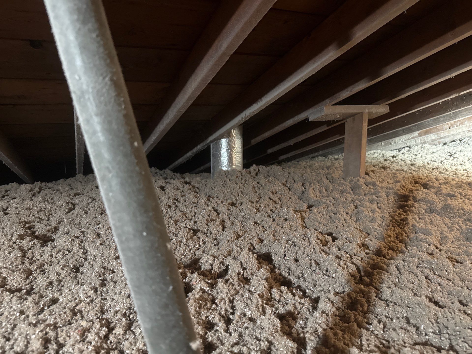 Blown-In Attic Insulation and Rodent Remediation in Canonsburg by Home Environment Solutions