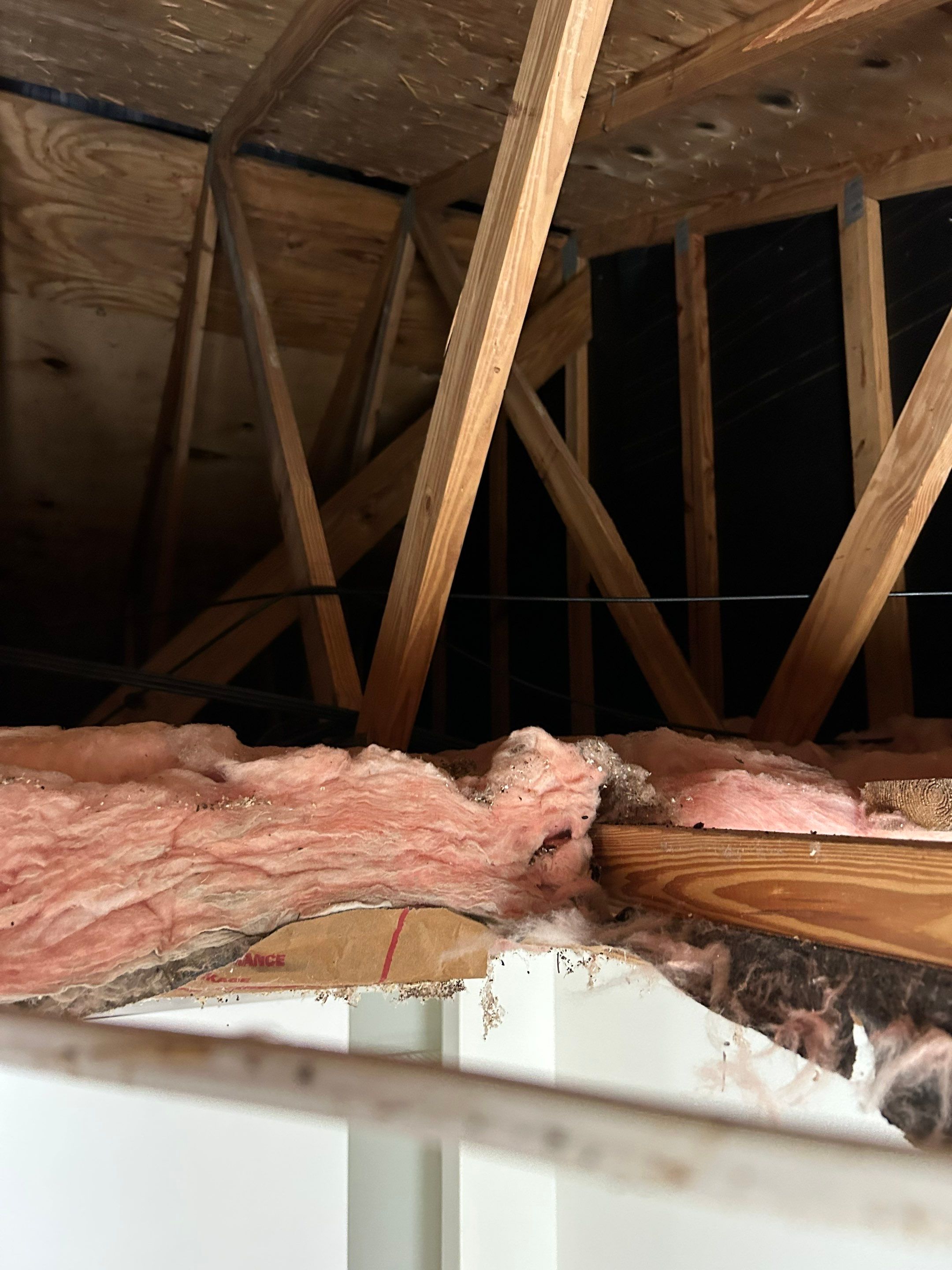 Project in North Port by Serene Construction