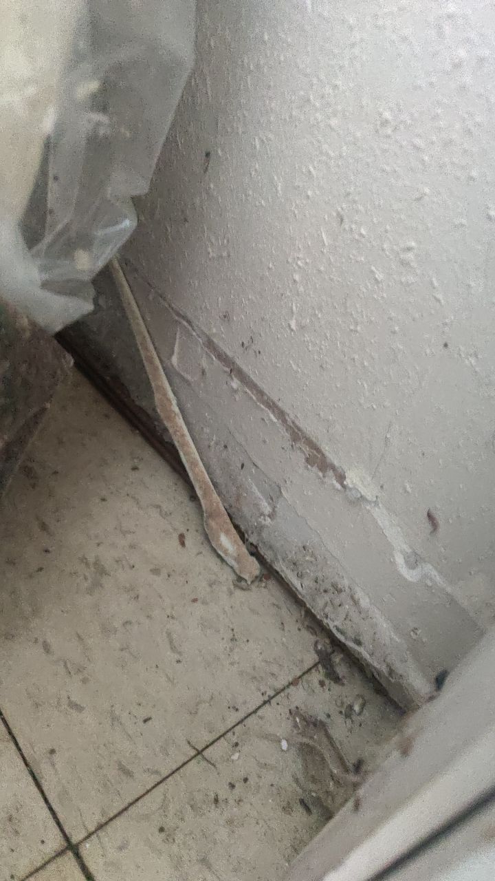 Mold Remediation by Accountable Home Services