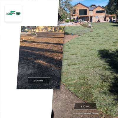 Project in Napa