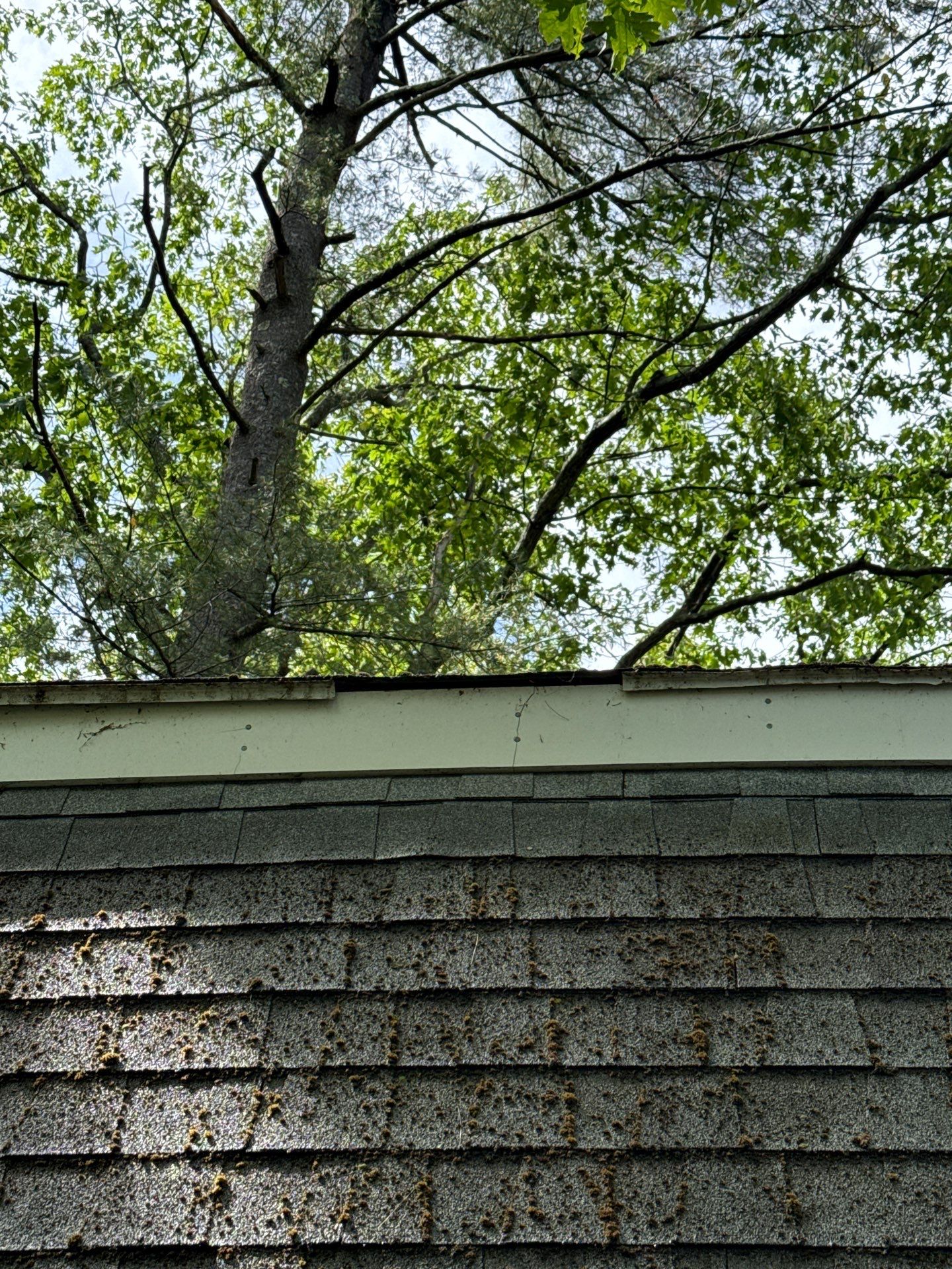 Leak Repair & Roof Wash – Groton, MA by Mighty Dog Roofing of Greater Middlesex County