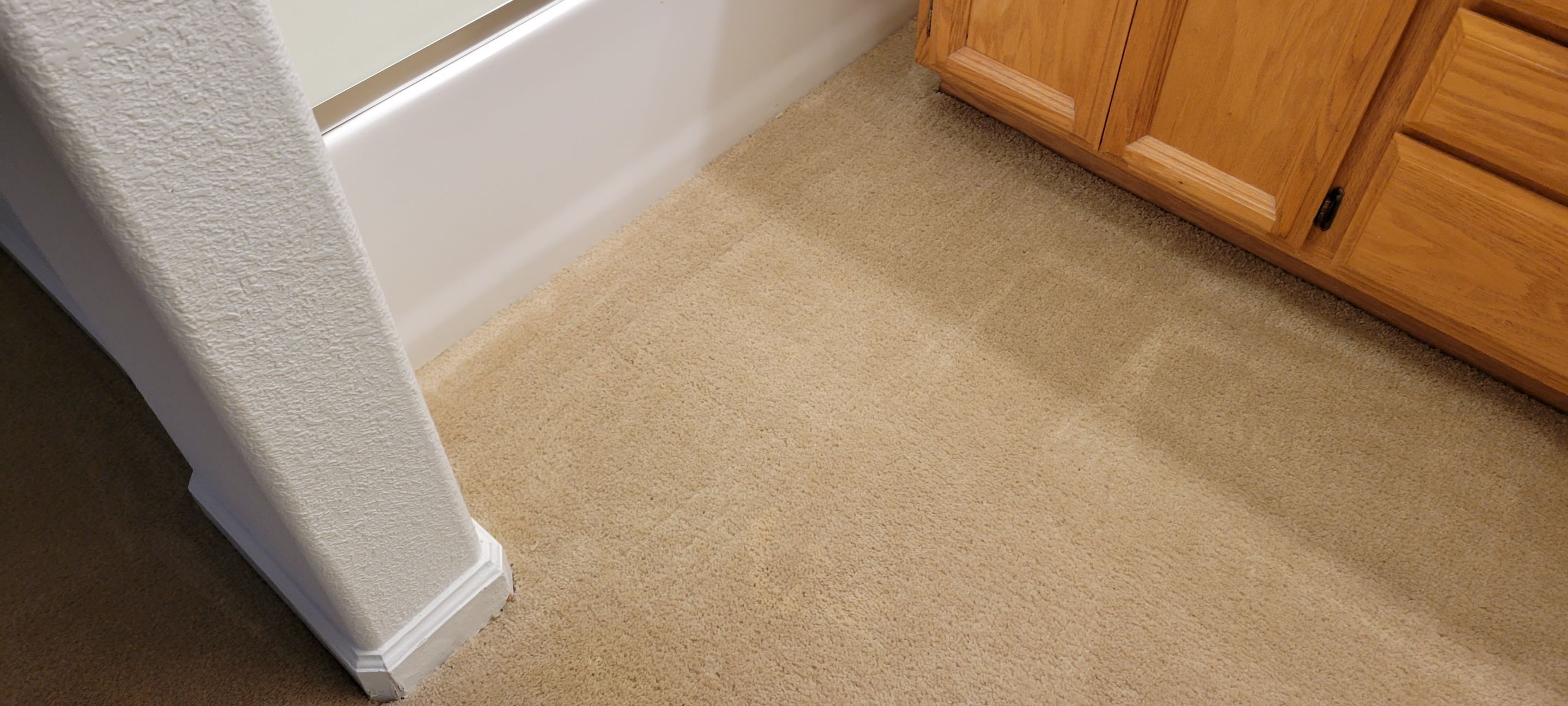 Sectioning Out a Failed Dye Attempt by Ardent Carpet Restore LLC