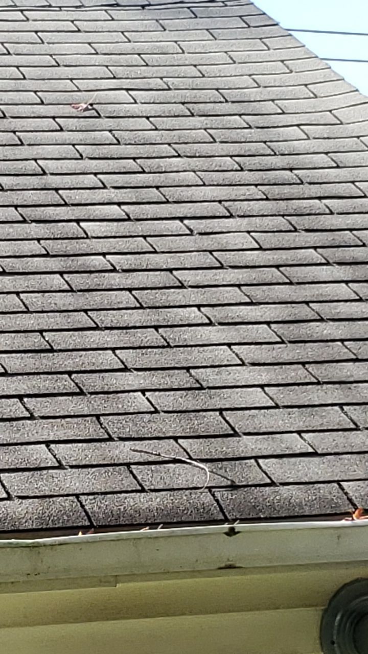 ATLAS PINNACLE SCOTCHGARD COLOR: PEWTER DRIP EDGE: BLACK by Eagle Eye Roofing