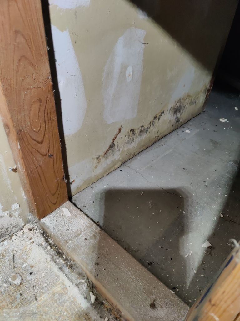 Water Damage Project in Denver by Accountable Home Services
