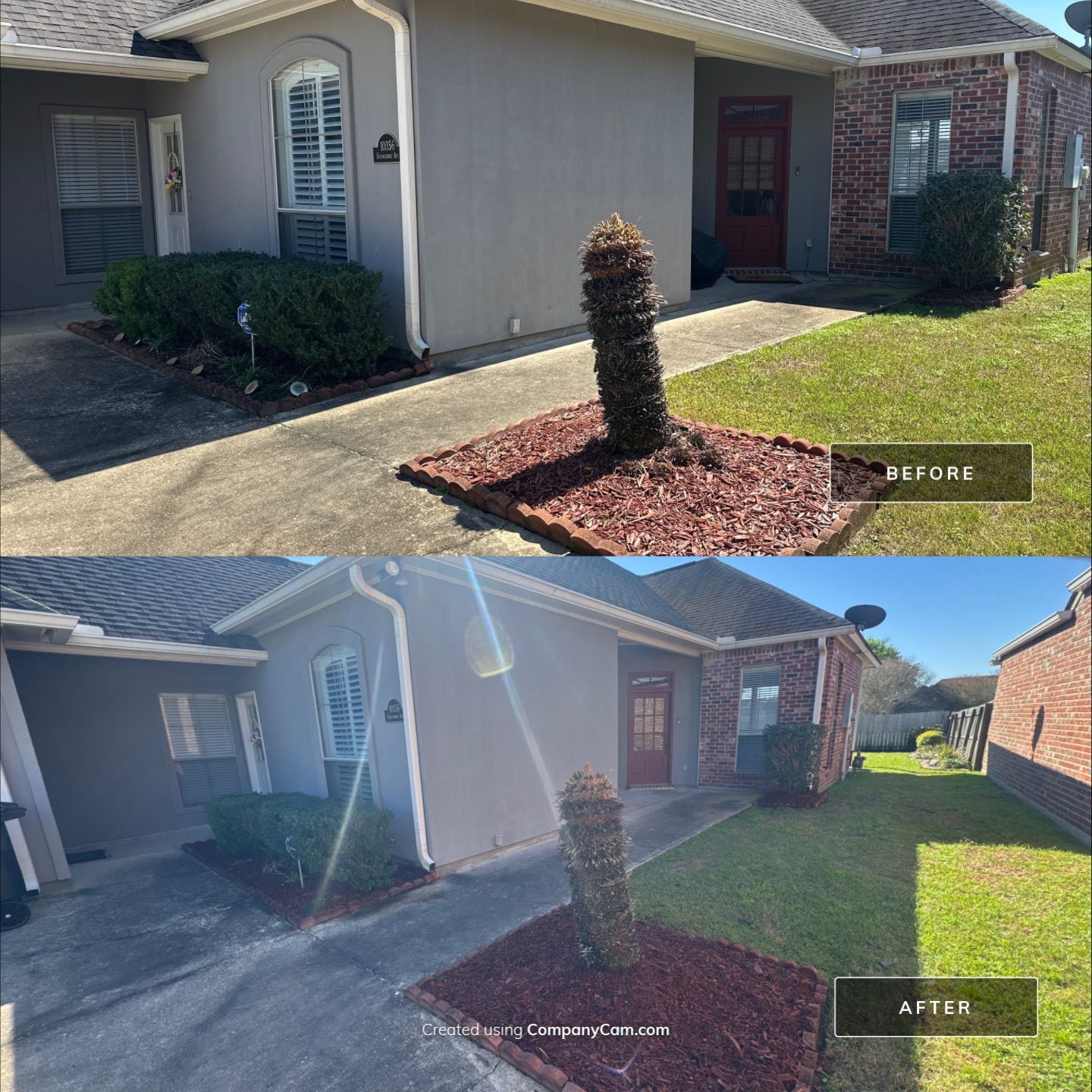 HEDGE TRIM / BED CLEAN / MULCH INSTALL using BROWN MULCH "BARK BRITE" by CutScape, LLC.