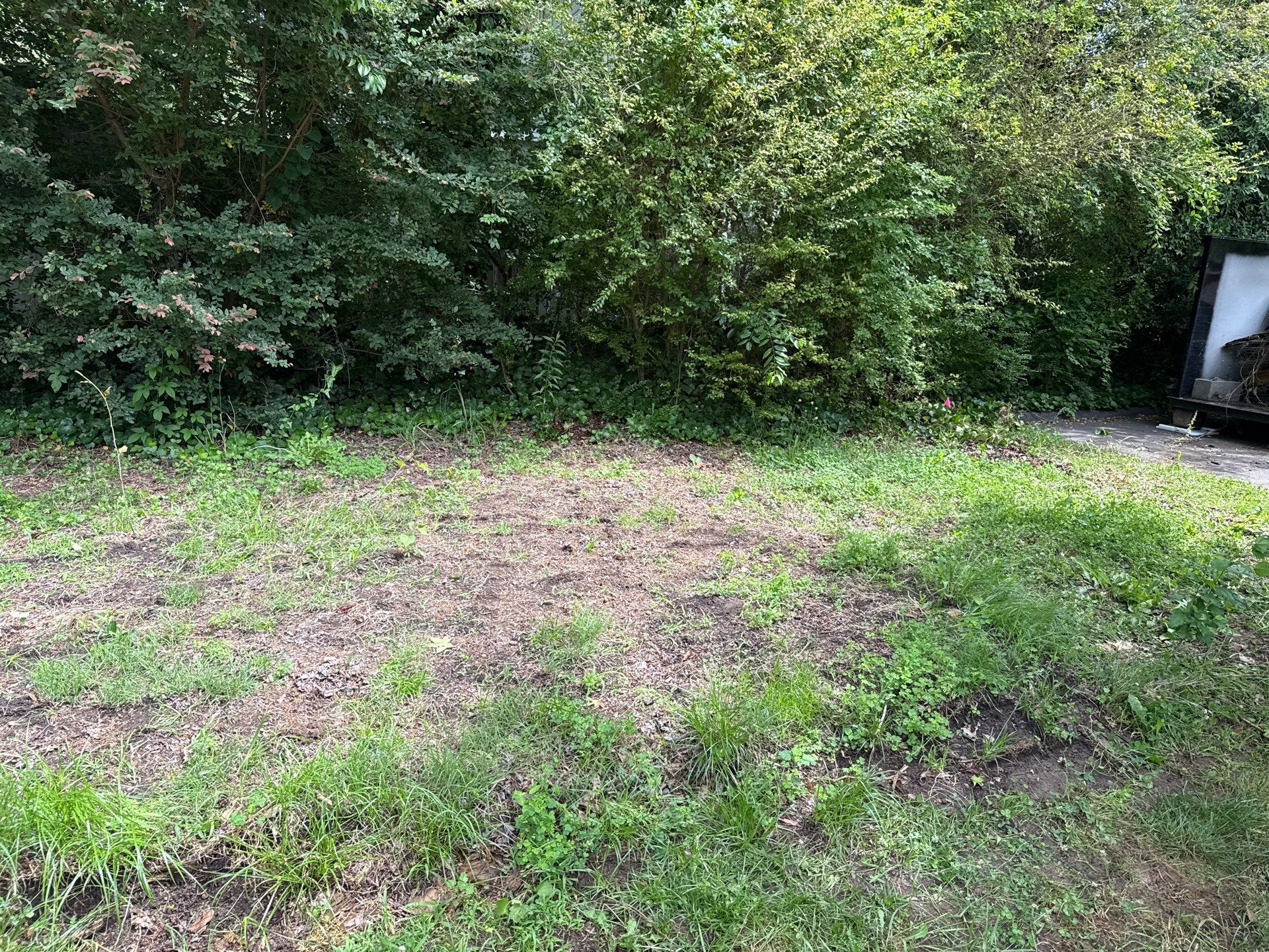 Project in Mint Hill by Badger Hauling