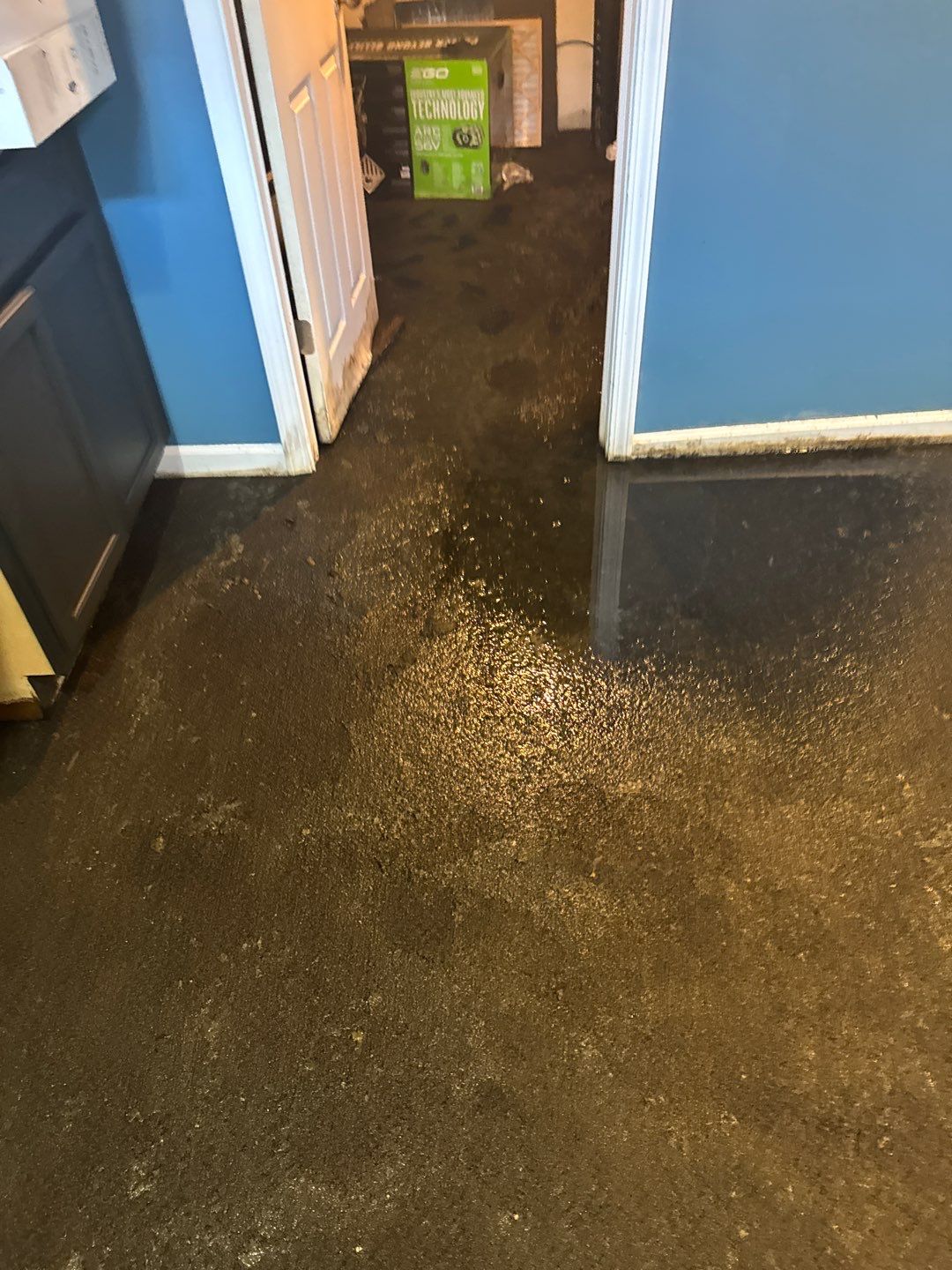 Project in West Bloomfield by EzDry Water Mitigation & Property Restoration