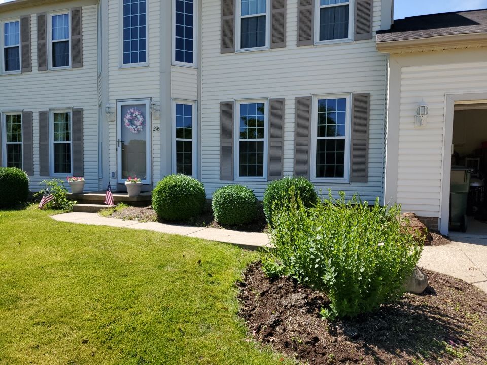 Tree Removal using Tree Removal by Mike Jones & Sons Tree Service LLC 