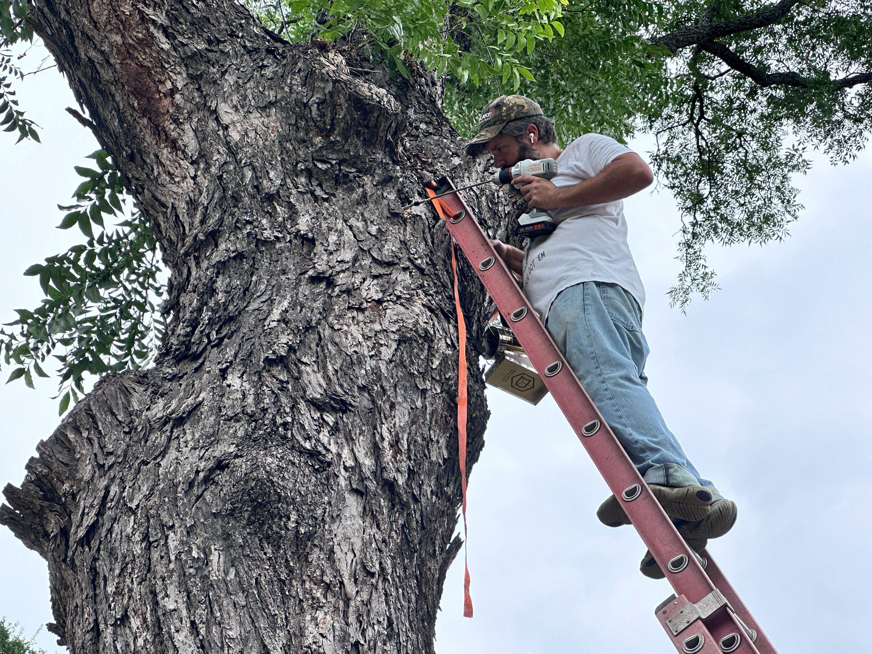 Smile! by Rockwall Honey Bee Company