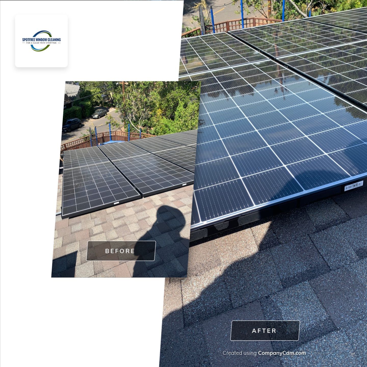 Bernadette Ryan-Leduc by SpotFree Window Cleaning