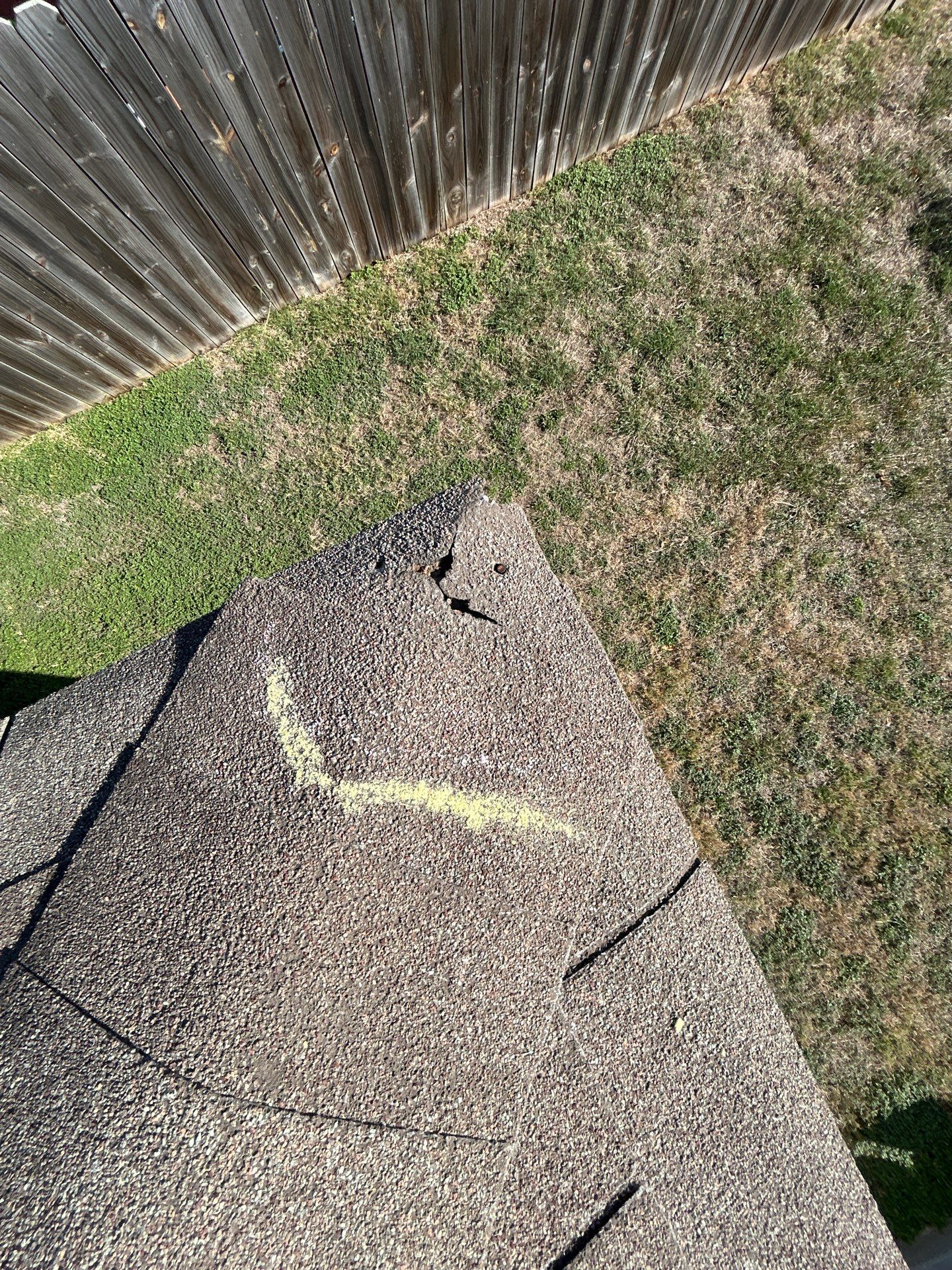 Miss Bridgette by REPS OF TEXAS