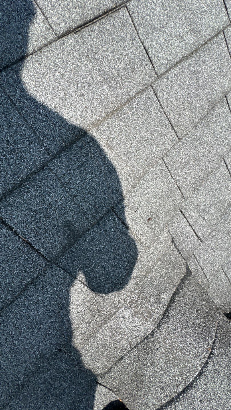 Falls Church: Roof Replacement with CertainTeed Landmark Pro in Max Def Pewterwood by RM Banning, Inc.