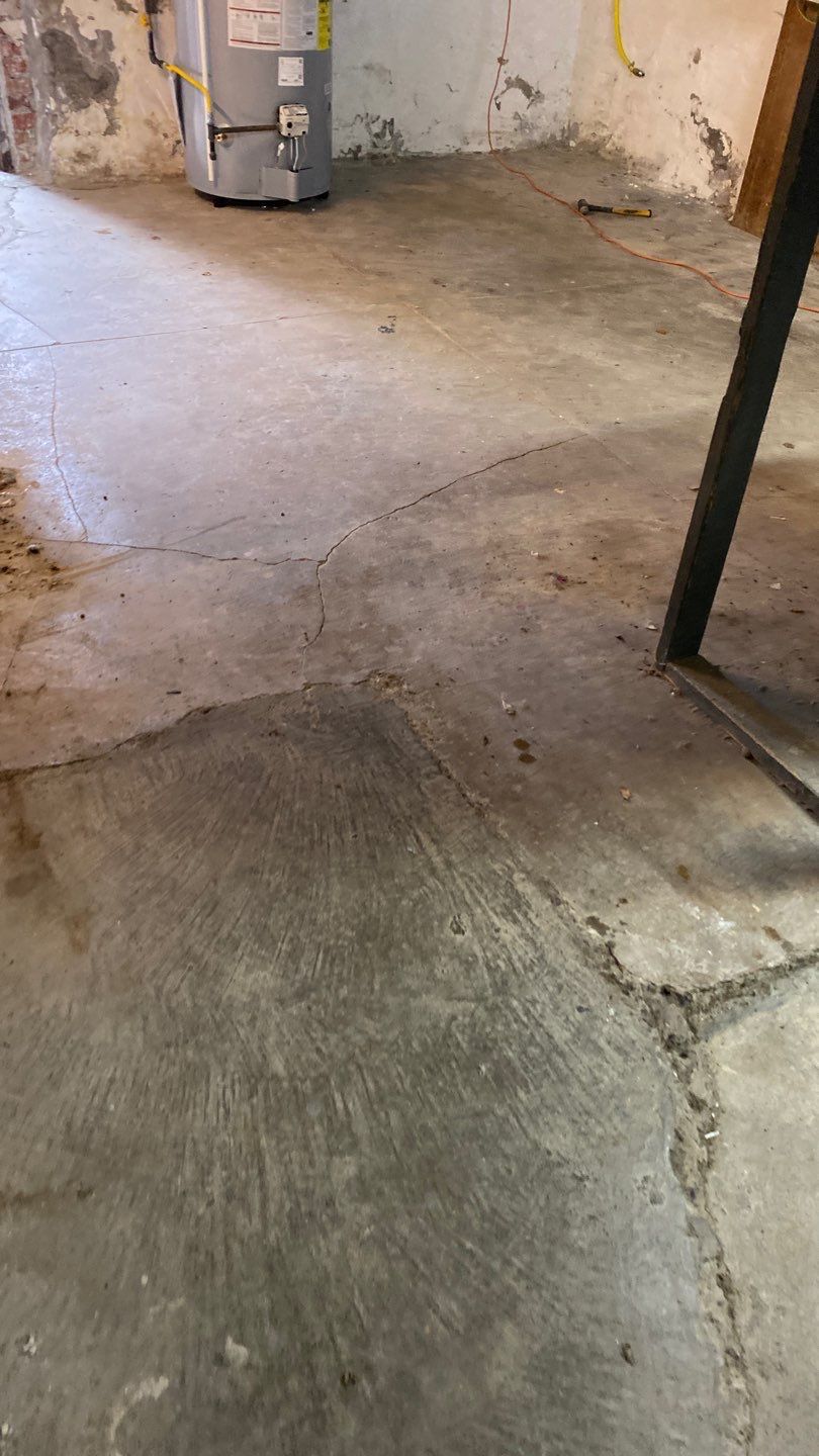 Cat Hospital Project in Pittsburgh by Floors in a Day, Inc