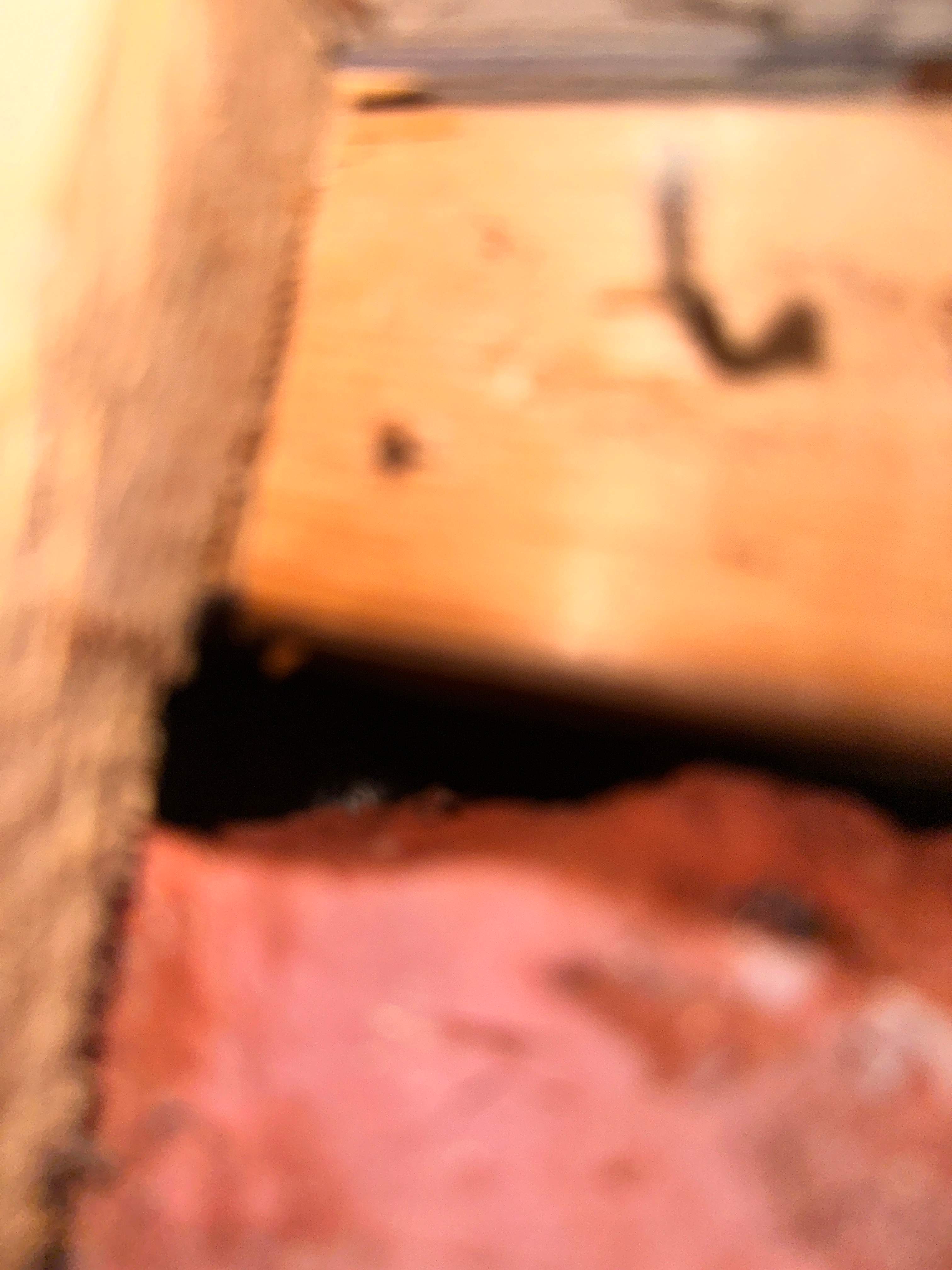 Yes, Professor. by Rockwall Honey Bee Company