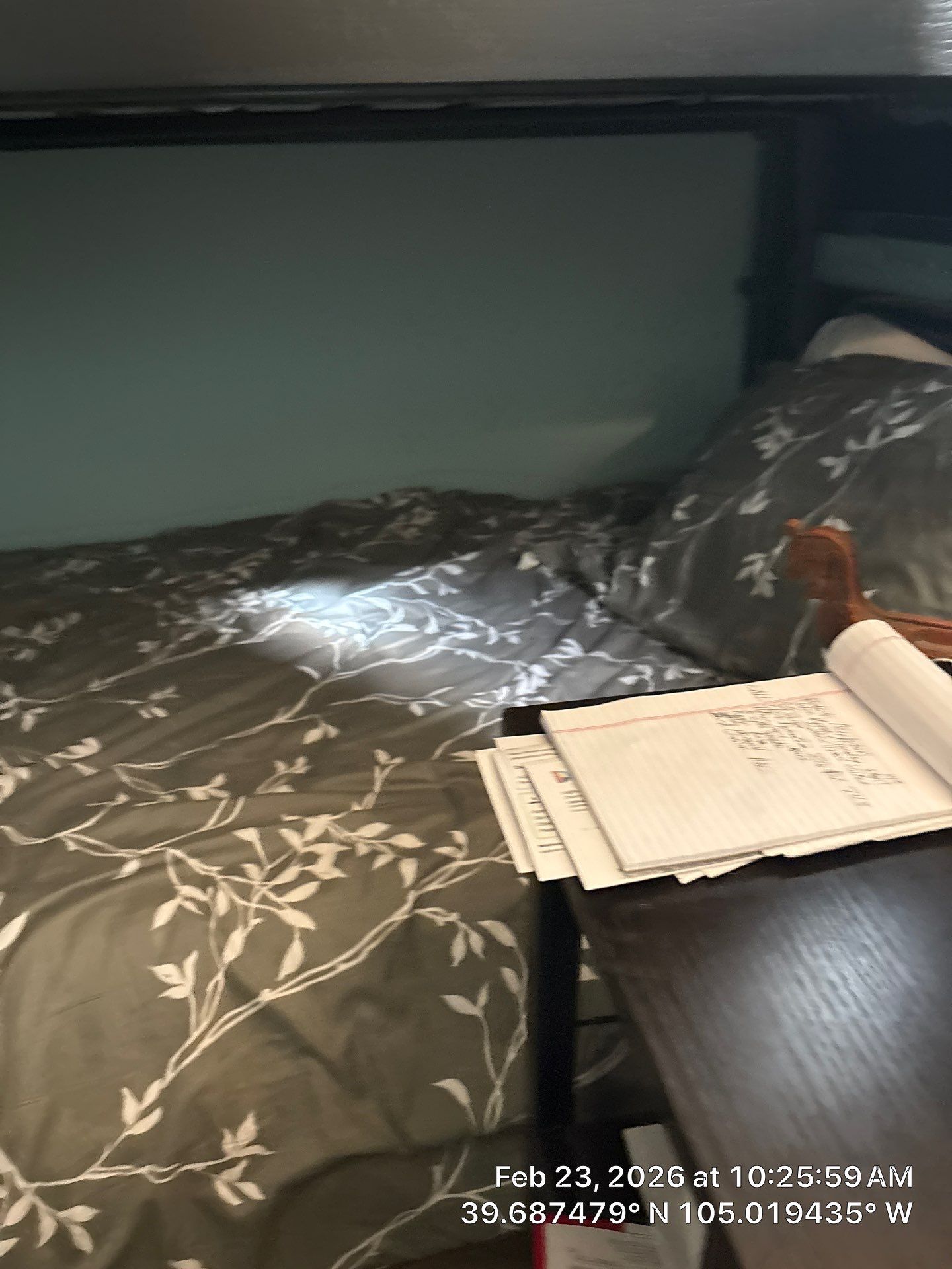 Jones Repaint by CompanyCam Sales Demo