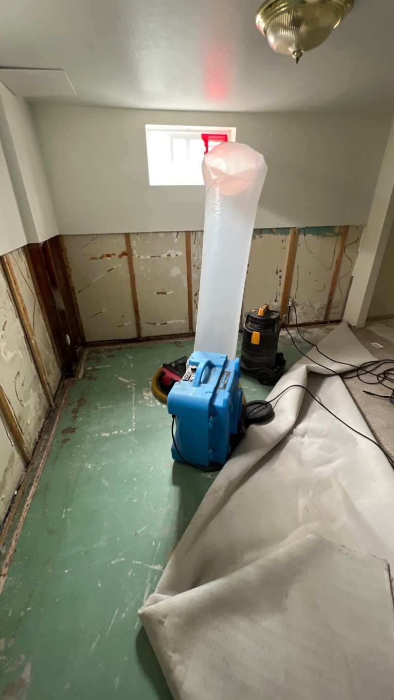 Mold Remediation by Accountable Home Services