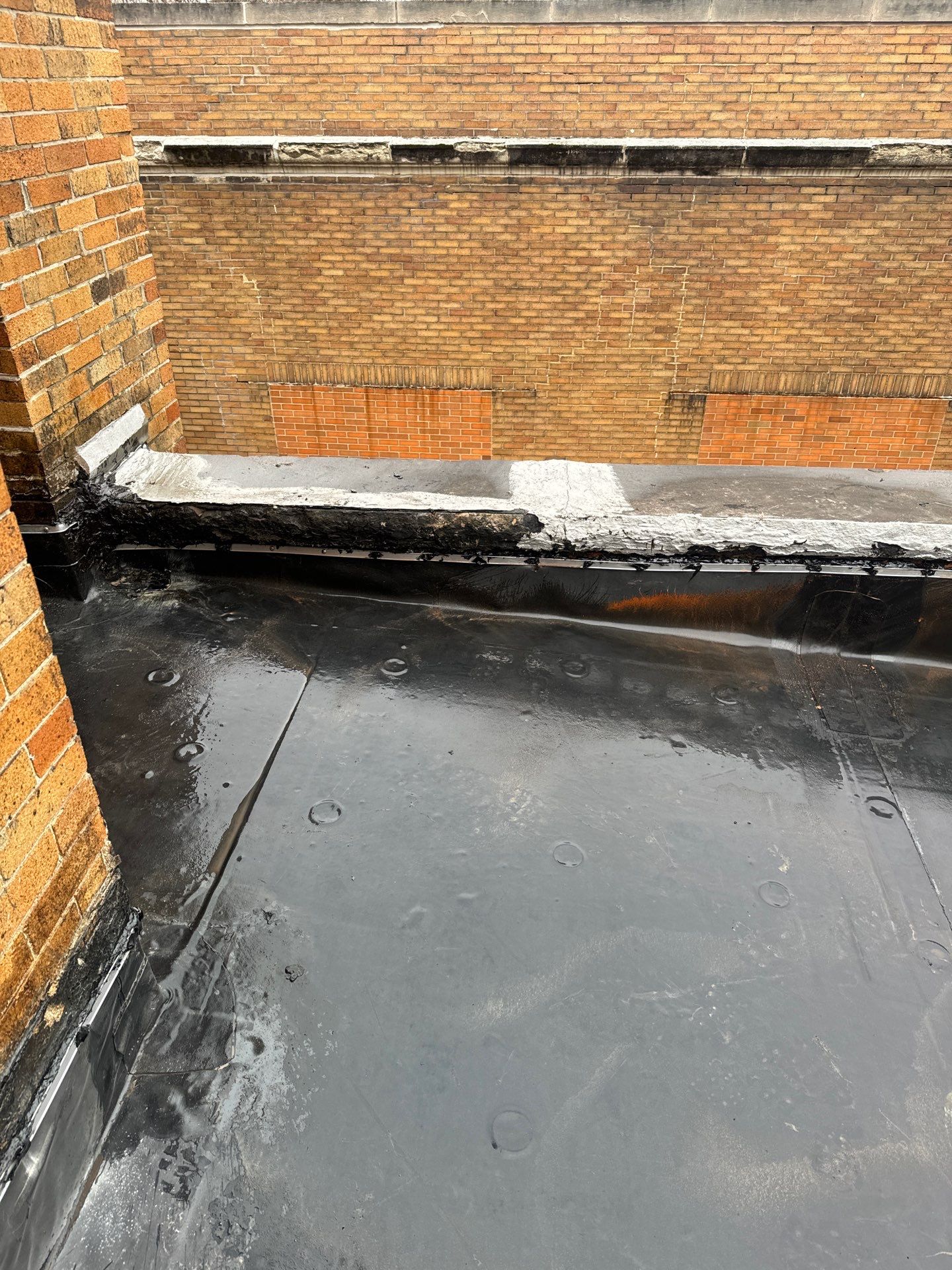 Commercial Roofing Repair using Repair by Absolute Roofing and Construction