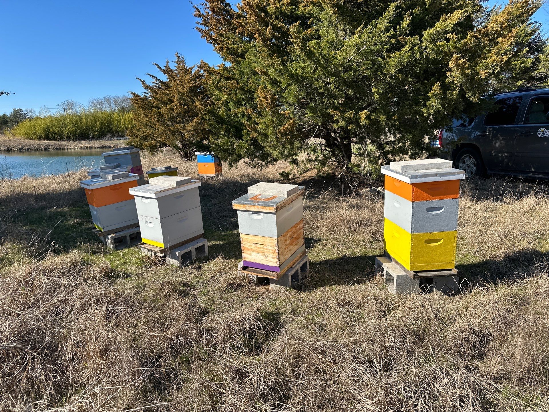 Rabbit Ridge Apiary by Rockwall Honey Bee Company