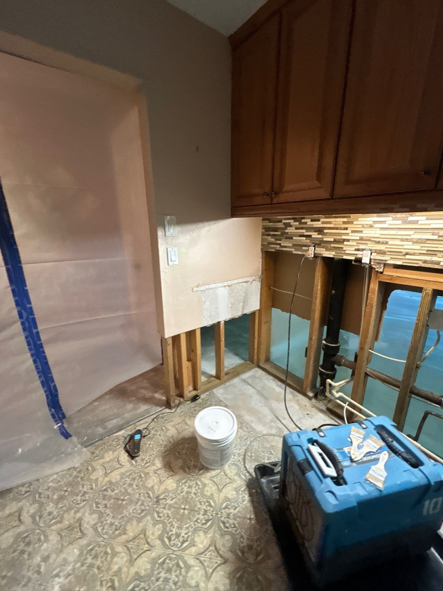 Black Mold Removal In Venice Florida by Ampm Restoration Services