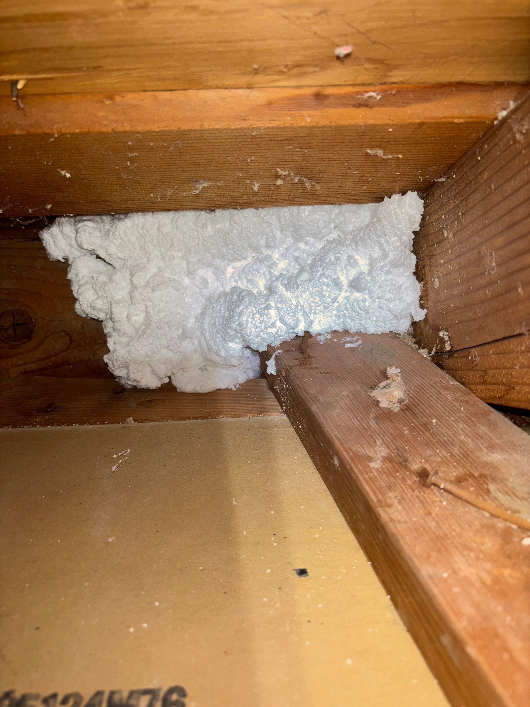 Project in Thousand Oaks by Insulation Labs