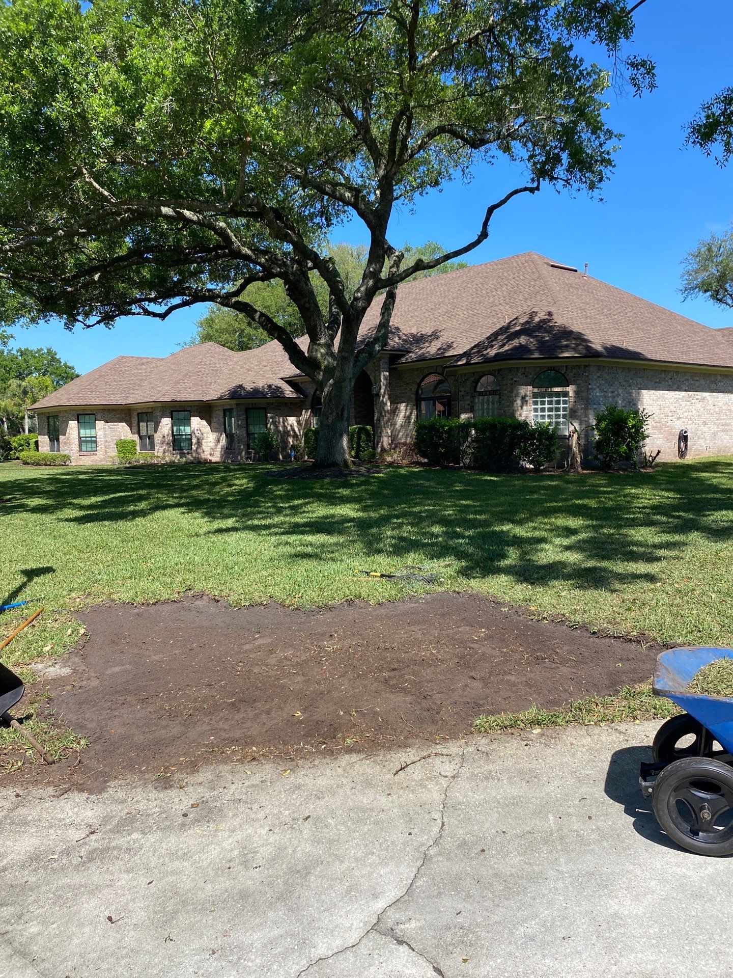 Deerwood Resident | Tree Trimming and Sod Installation) by ProGreen Services