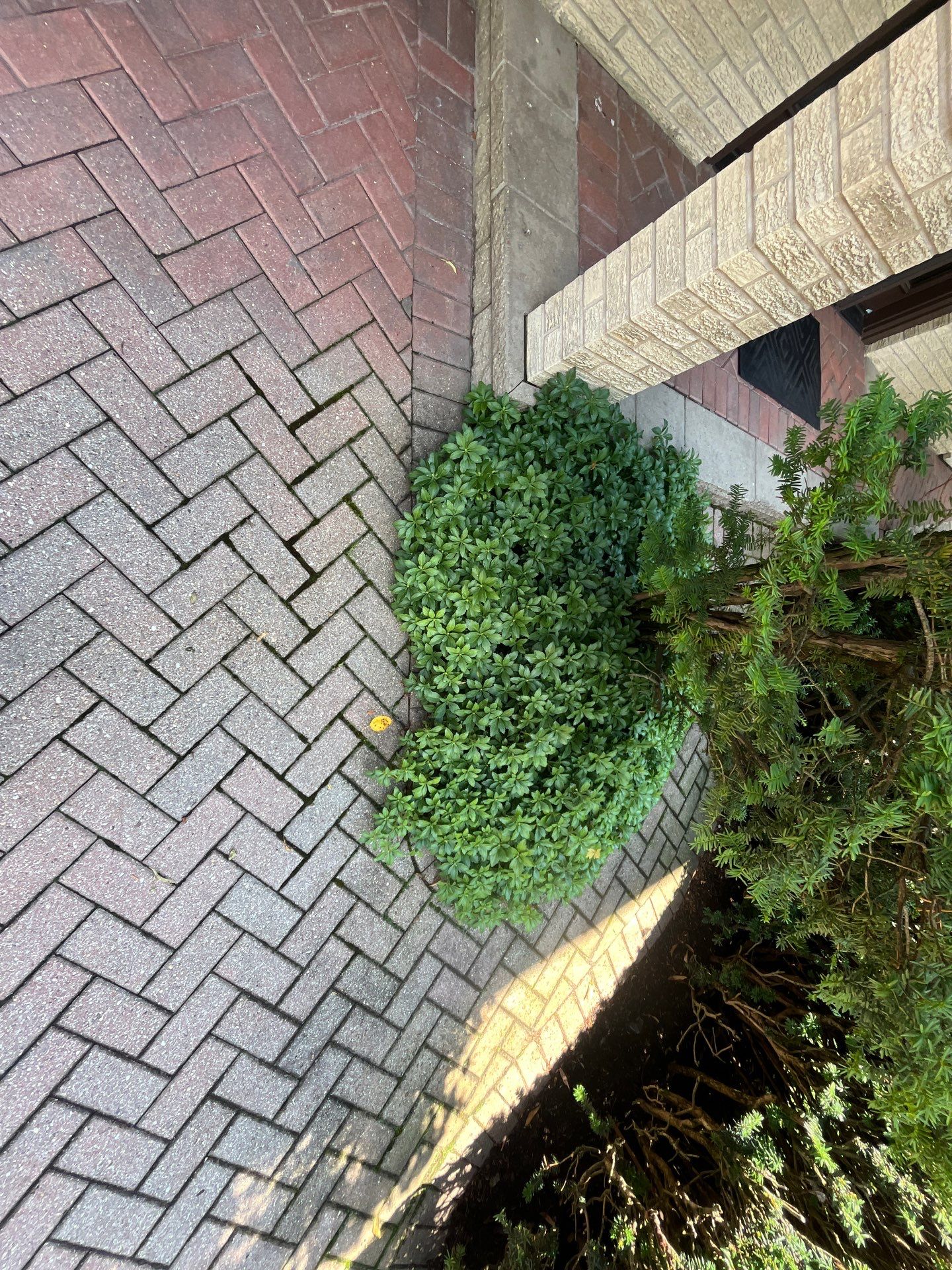 Brick paver clean, sand and seal.  using Surebond SB-1300 by Northern Power Washing LLC.