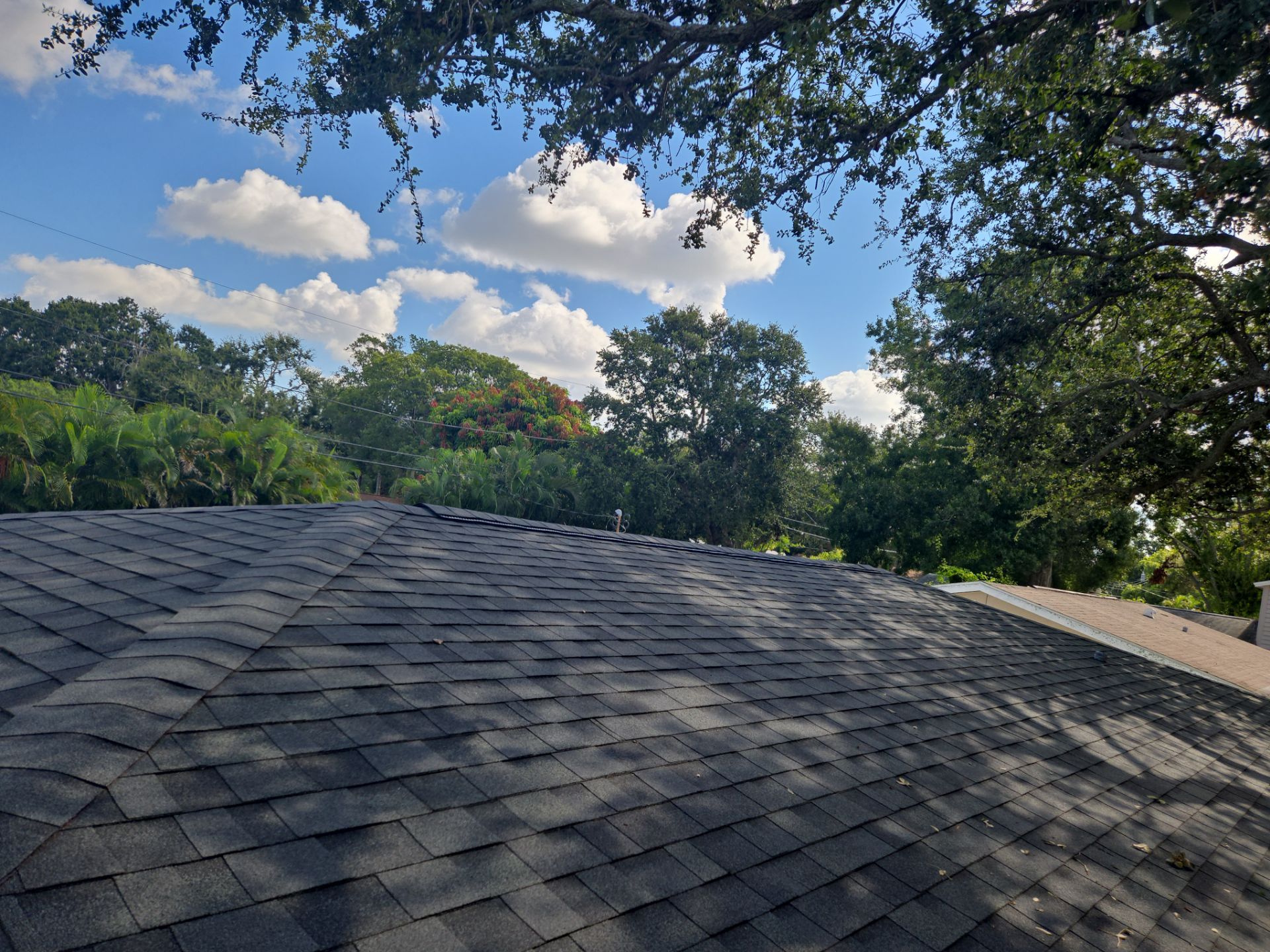 Project in Pinellas Park 33781 by Mitchell Roofing Company LLC 