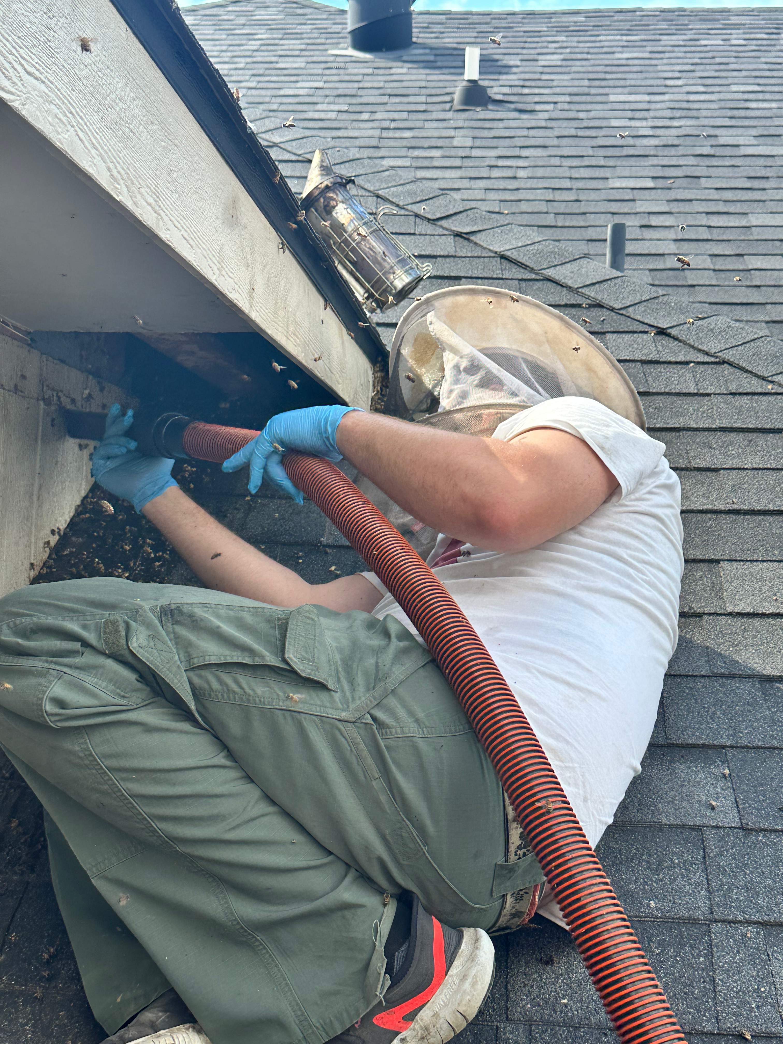 Massive by Rockwall Honey Bee Company